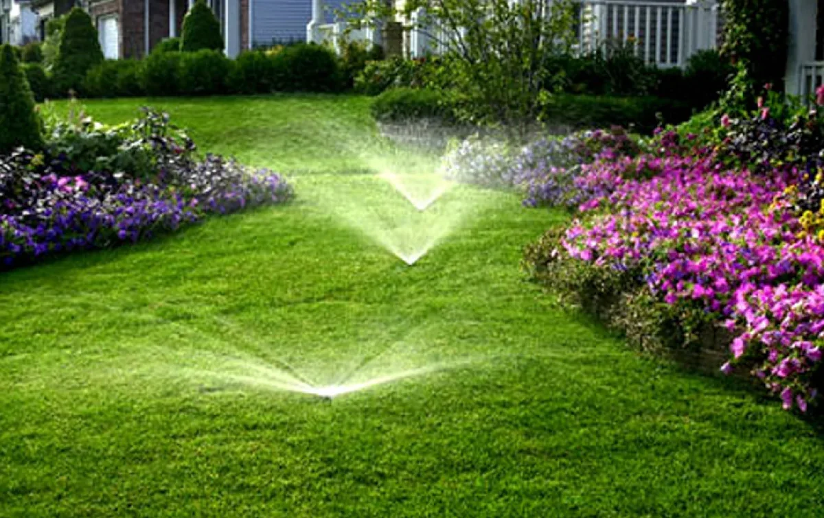 Lawn in front of house being watered by sprinklers, with flower beds on either side, in a suburban neighborhood.