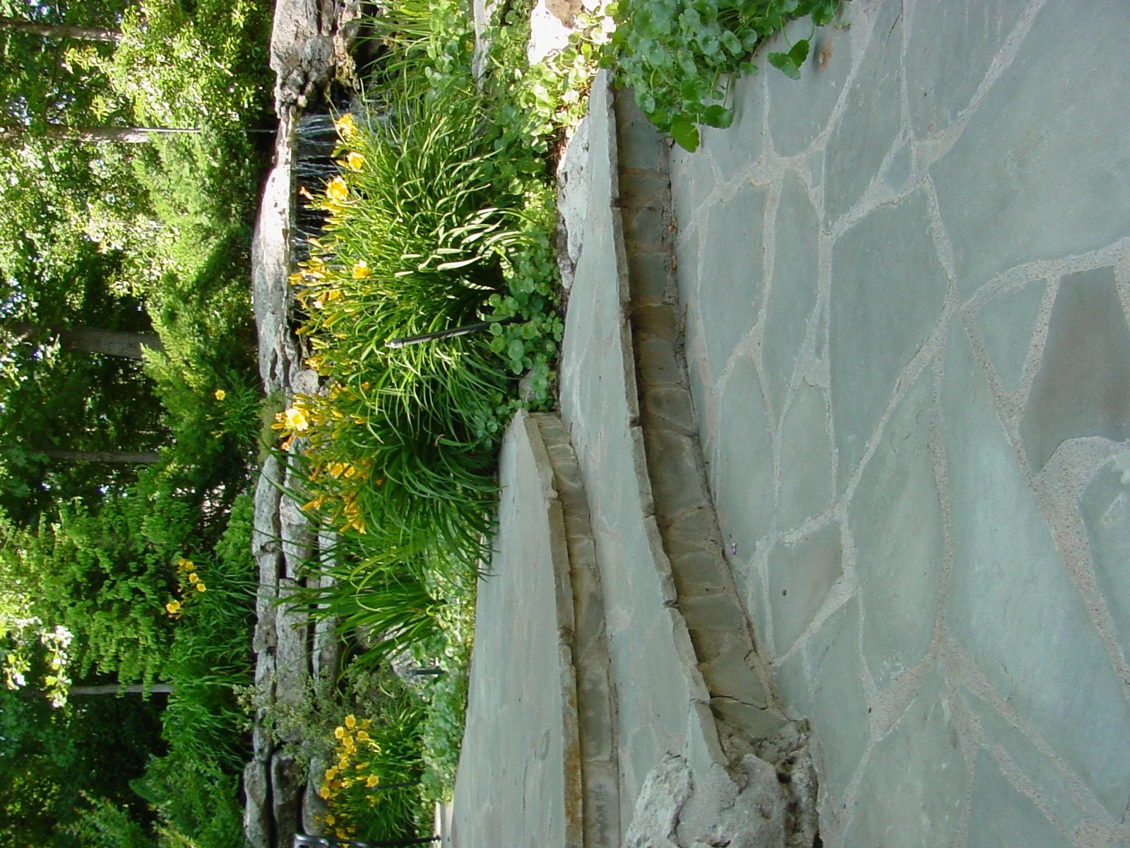 Garden path with stone pavers, curved stone border flower bed with yellow flowers and green plants, surrounded by trees and lush greenery.