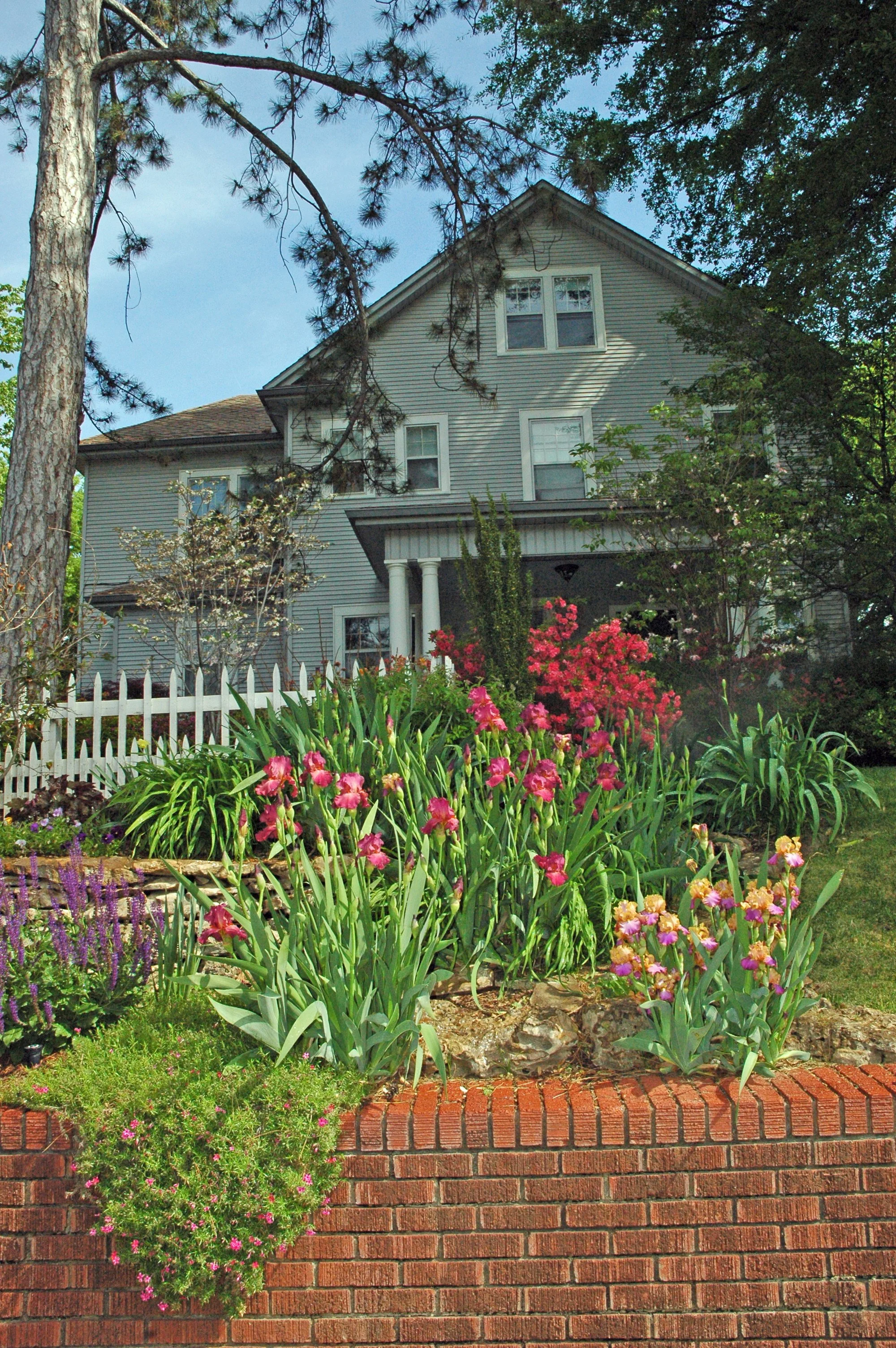Privacy screening in Tulsa with evergreen trees, hedges, and layered planting creating a natural barrier around a backyard