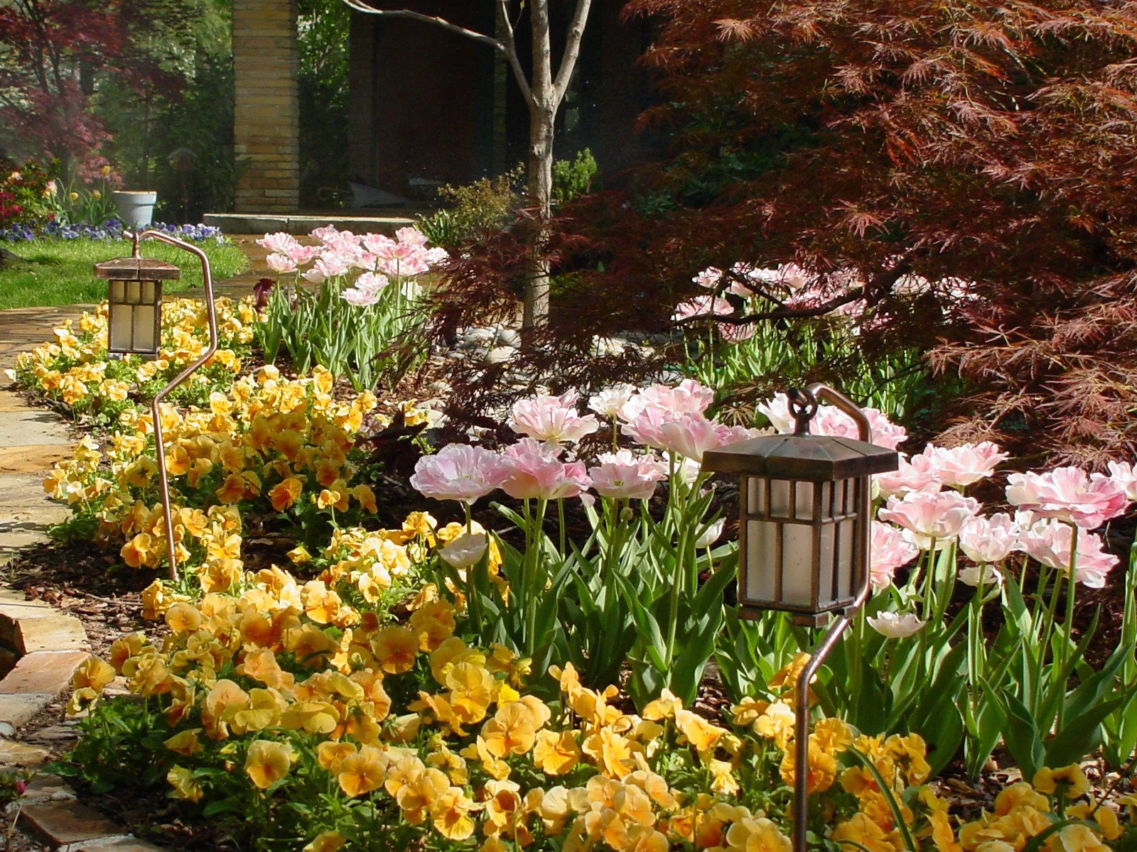 annuals and sidewalk.jpg
