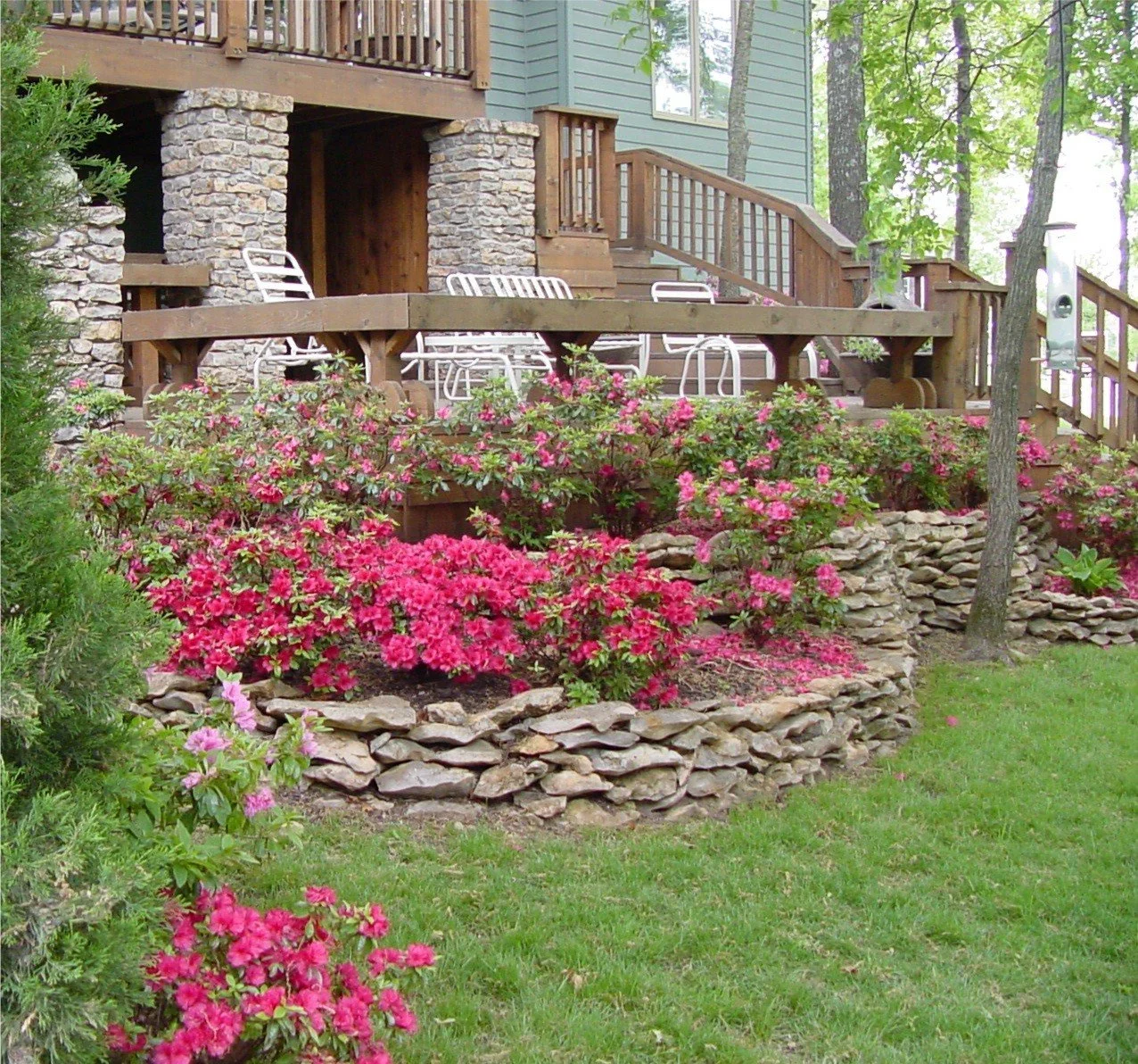 Wooden deck with stone pillars, white chairs, pink azaleas, and green trees surrounding a house.