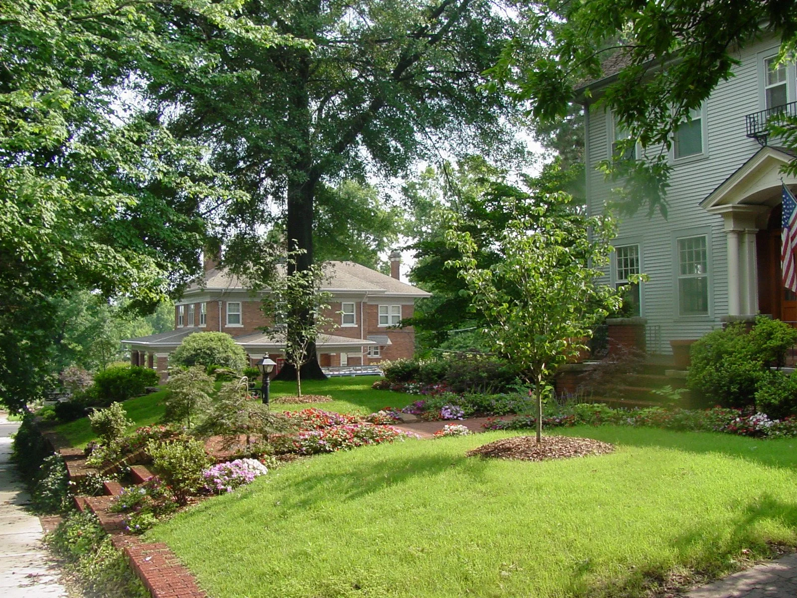 Front yard landscape design in Tulsa with trees, shrubs, and clean layout