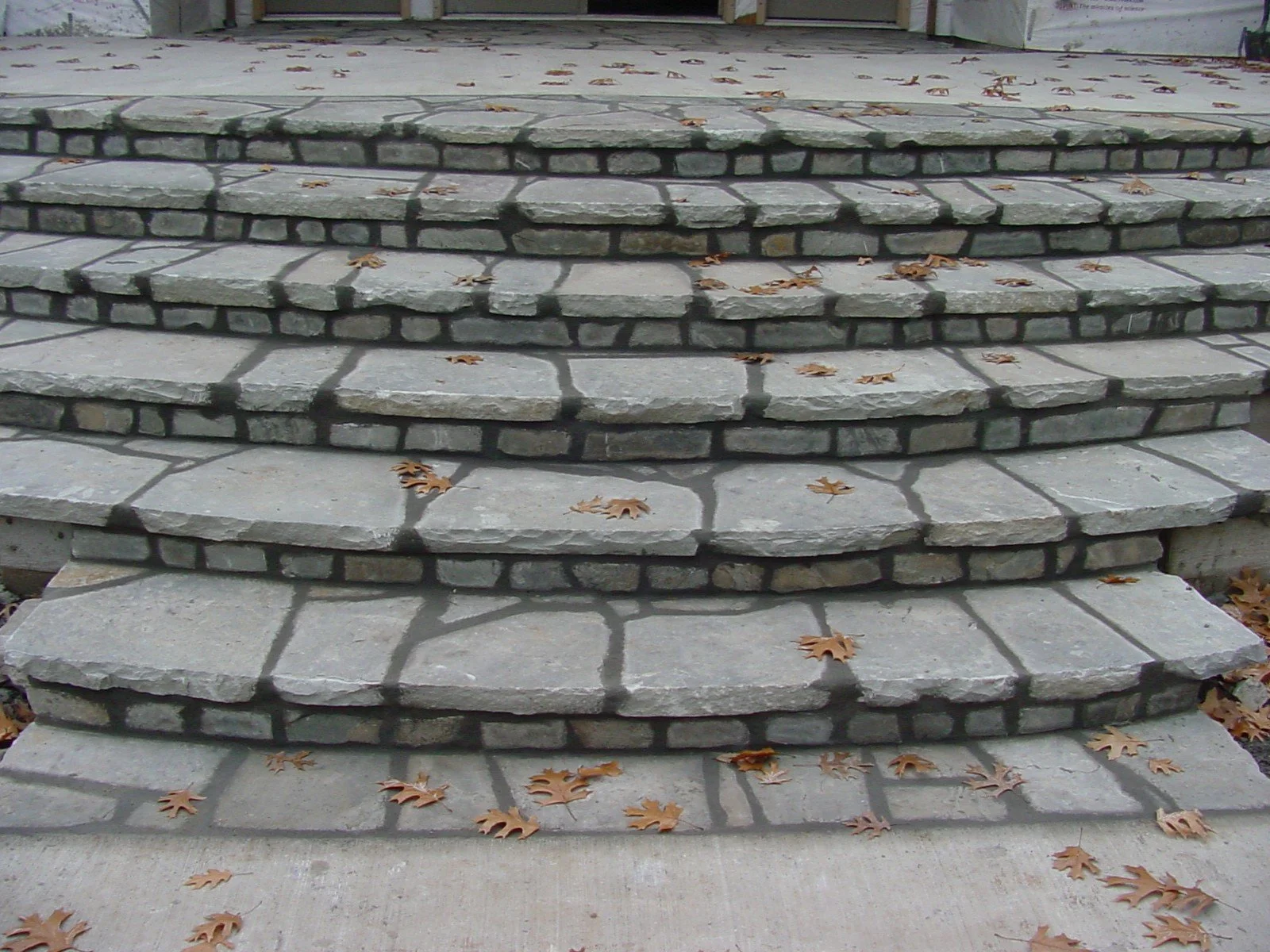Stone front steps with fallen autumn leaves and a porch at the top.