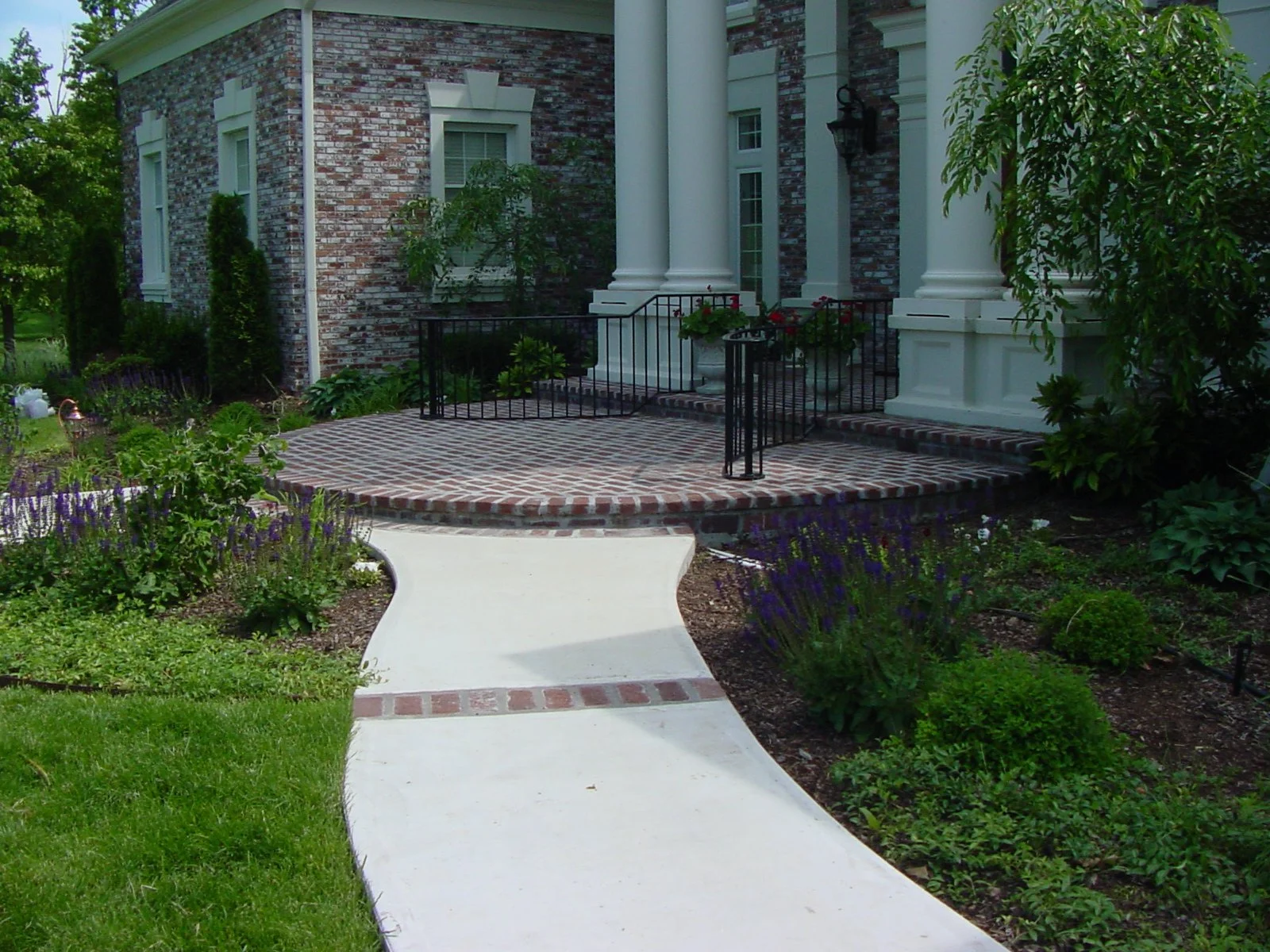 A brick porch with white columns and a black metal railing, surrounded by a garden with purple flowers and green foliage, with a concrete walkway leading to the porch.