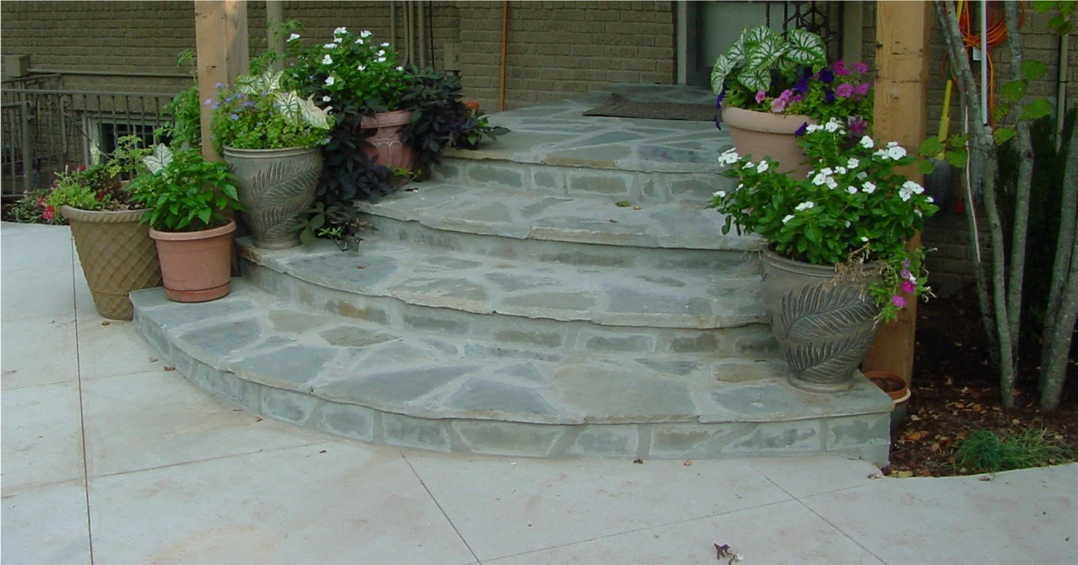 Stone steps with potted plants on either side, leading to a porch area.