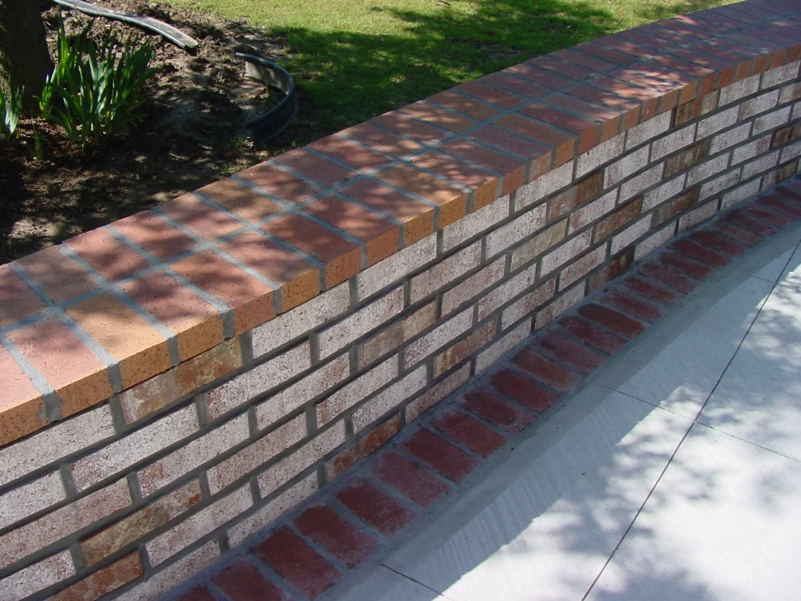 Close-up of a brick wall with a curved pattern, topped with reddish-brown bricks, shadowed by tree leaves, alongside a concrete sidewalk.