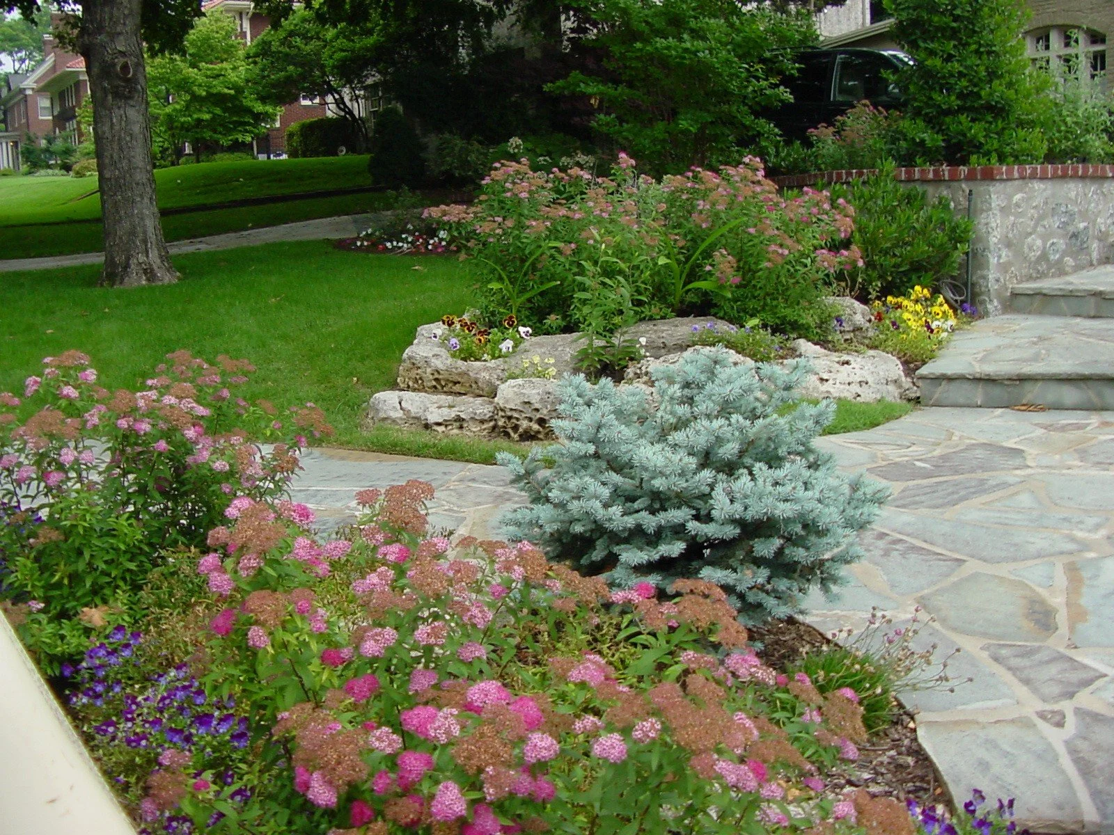 A landscaped front yard with a stone pathway, a variety of flowering plants, bushes, a small blue spruce tree, and a brick house in the background.
