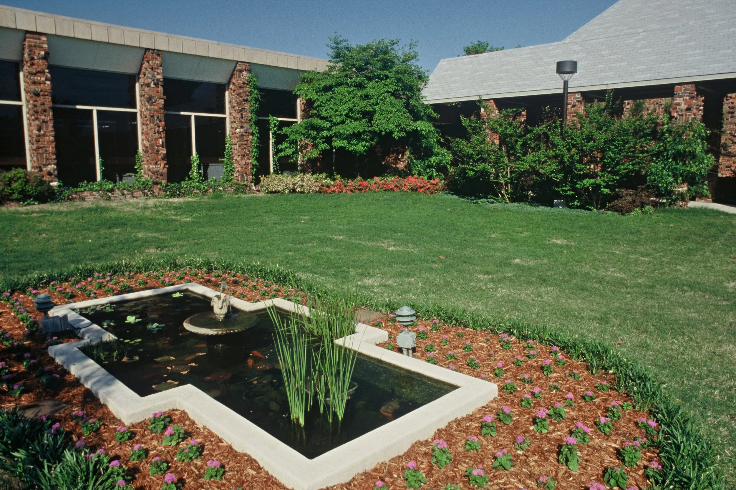 A landscaped yard with a small water feature, blooming flowers, green shrubs, and a large tree in front of a building with brick and glass windows.
