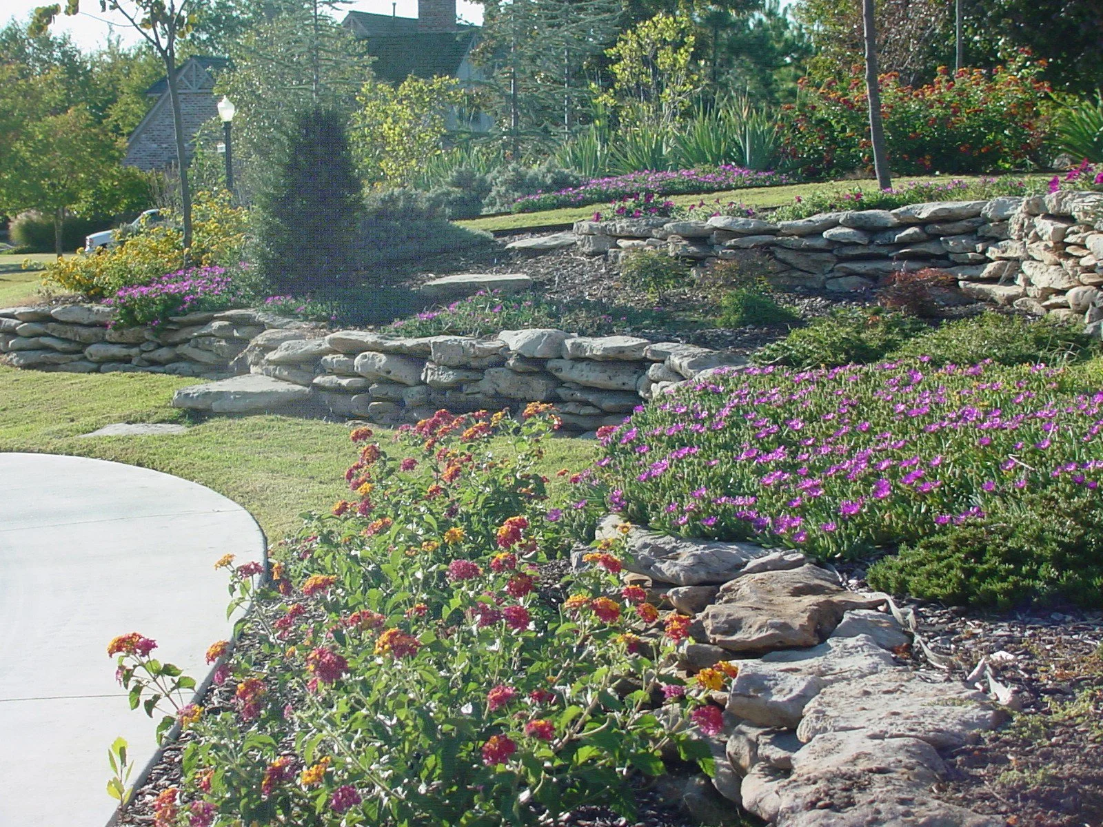 A landscaped garden with a curved concrete pathway on the left, a stone retaining wall, various colorful flowering plants, bushes, and trees, with a house and parked car visible in the background.