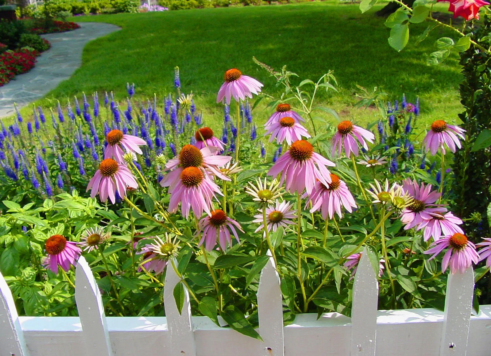 Full Sun Garden Tulsa OK – Flower Beds & Landscape Planting