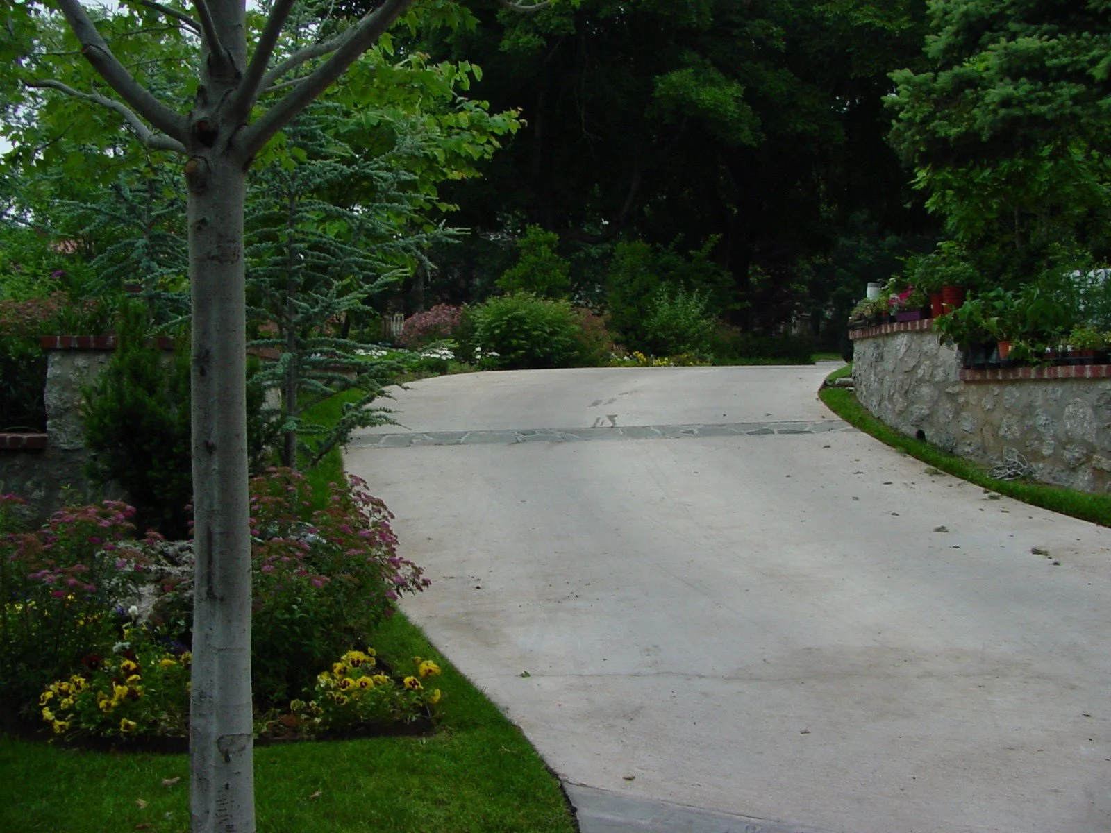 A winding concrete driveway bordered by a stone wall with potted plants on top and a landscaped garden with trees and flowers on the left side. Dense trees are visible in the background.