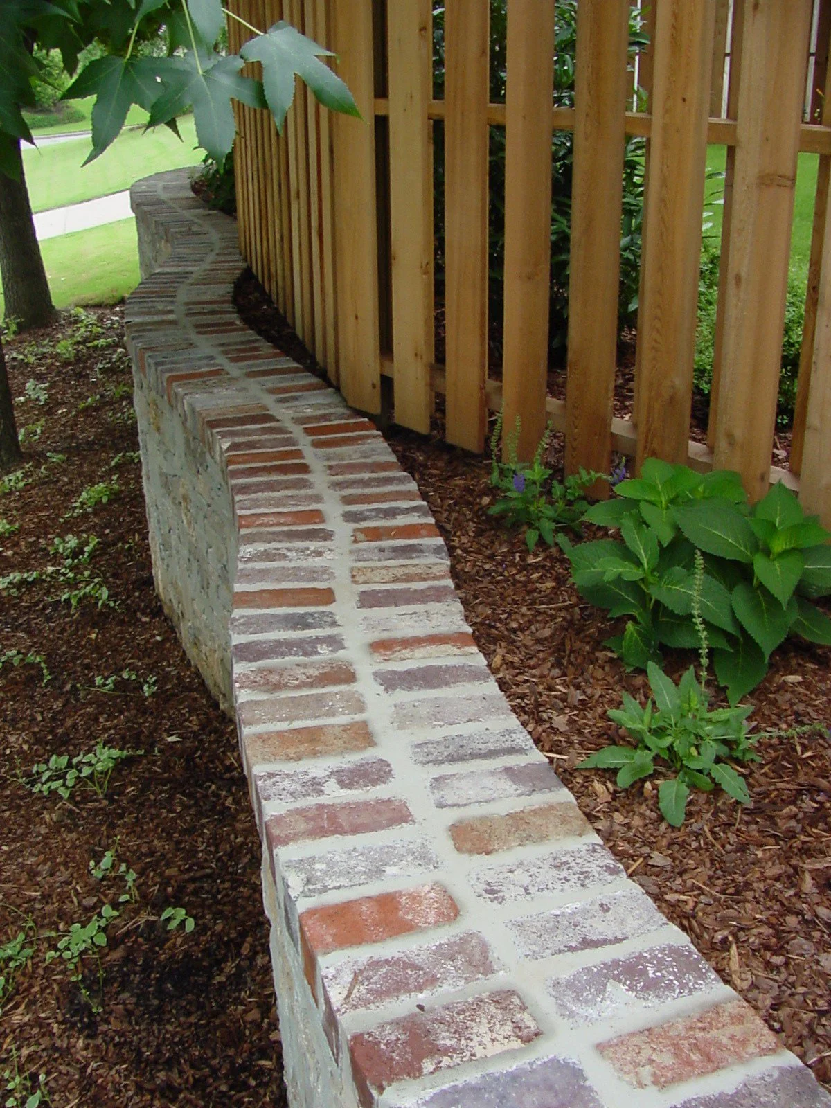A garden scene with a curved brick wall and wooden fence, green plants, and a lawn in the background.