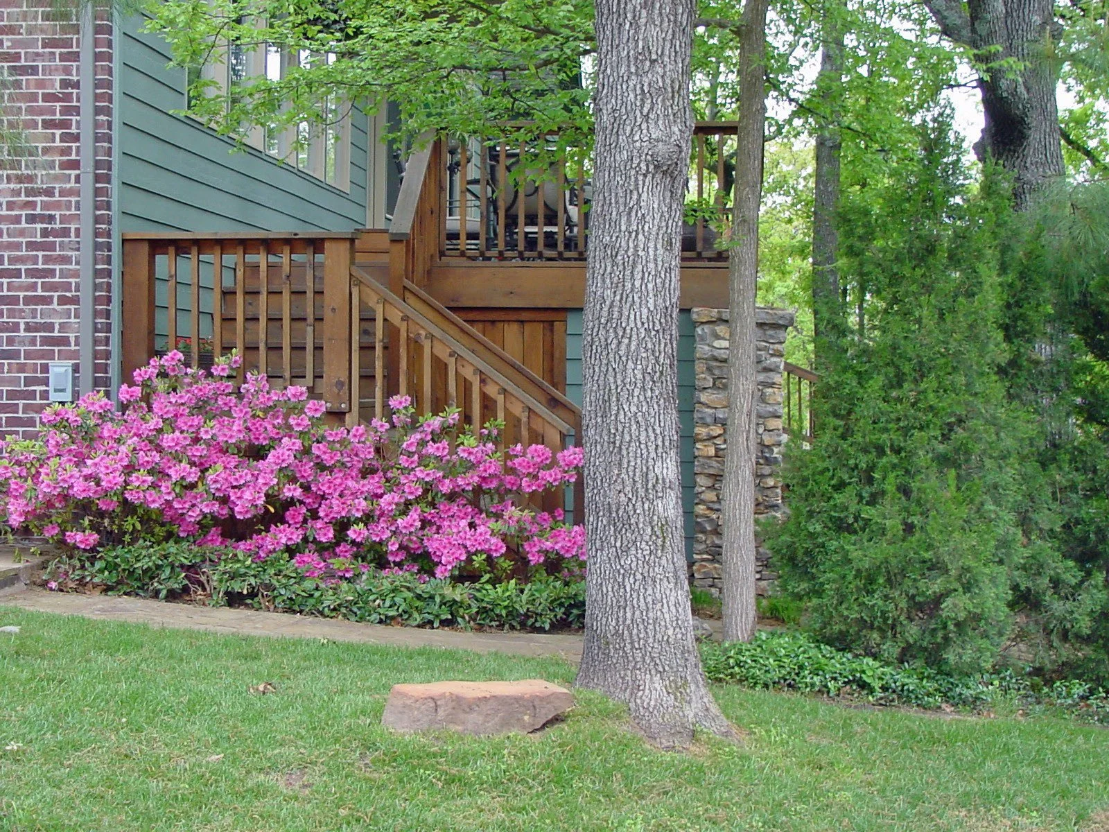 Exterior view of a house with a green siding and brick wall, a wooden staircase with a railing leading to a deck, pink flowering bush near the stairs, green grass, and trees surrounding the house.