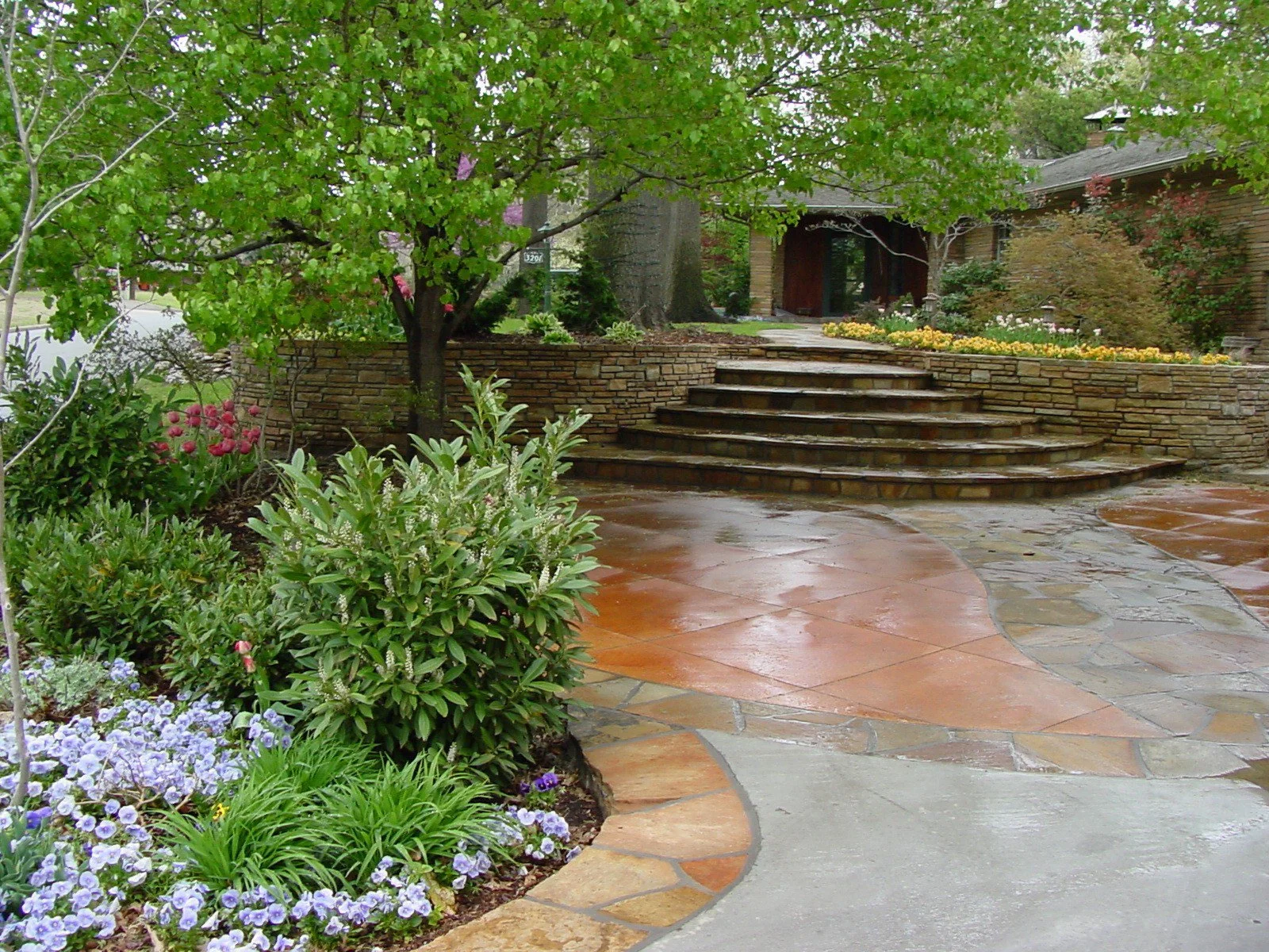 A landscaped front yard with a brick and stone staircase leading up to a house, surrounded by various green plants and colorful flowers, with a tree providing shade on a rainy day.