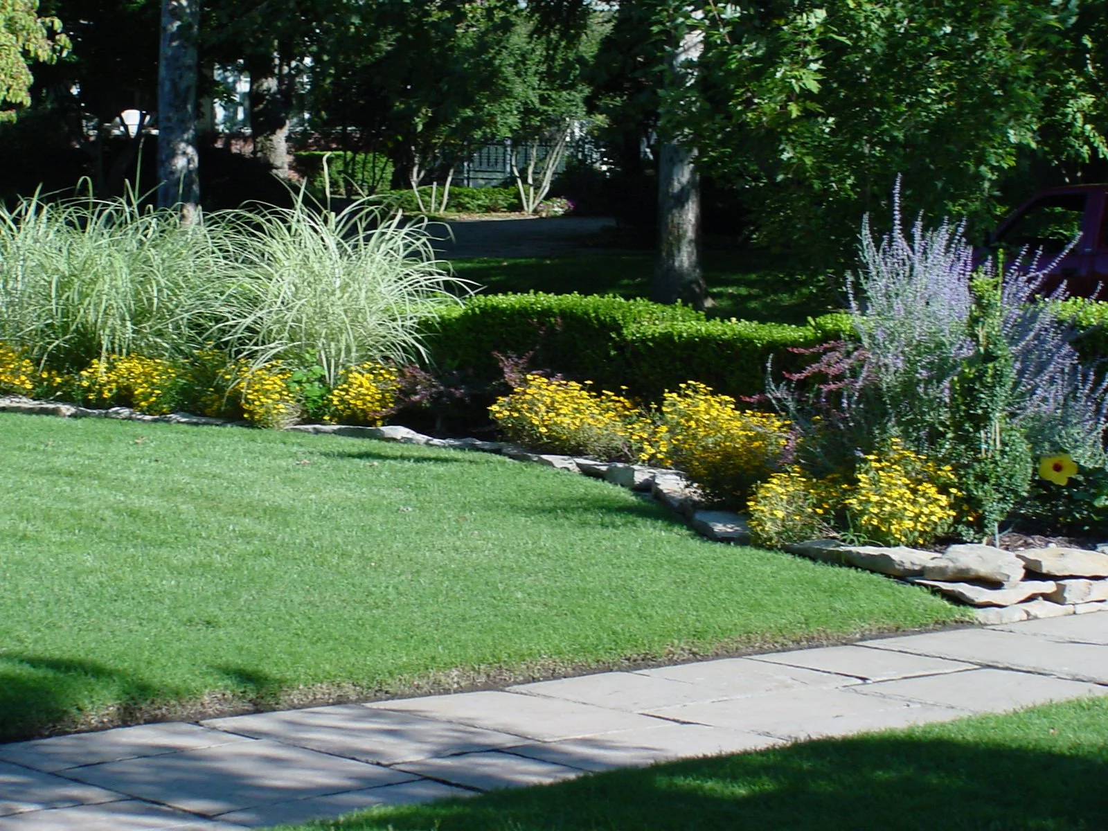 Bright landscape planting in Tulsa with sun-tolerant plants and clean layout