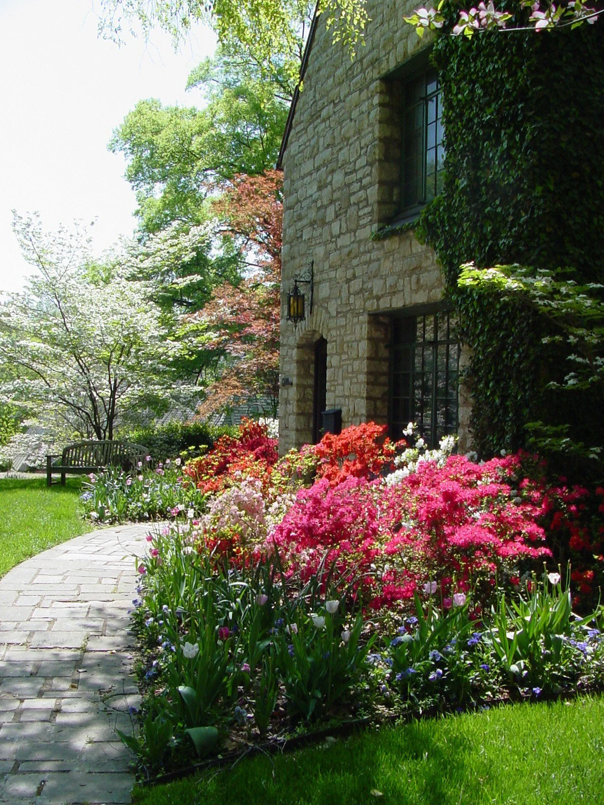 A stone house with ivy on the exterior wall and flower garden by the sidewalk, with trees and a bench in the background.