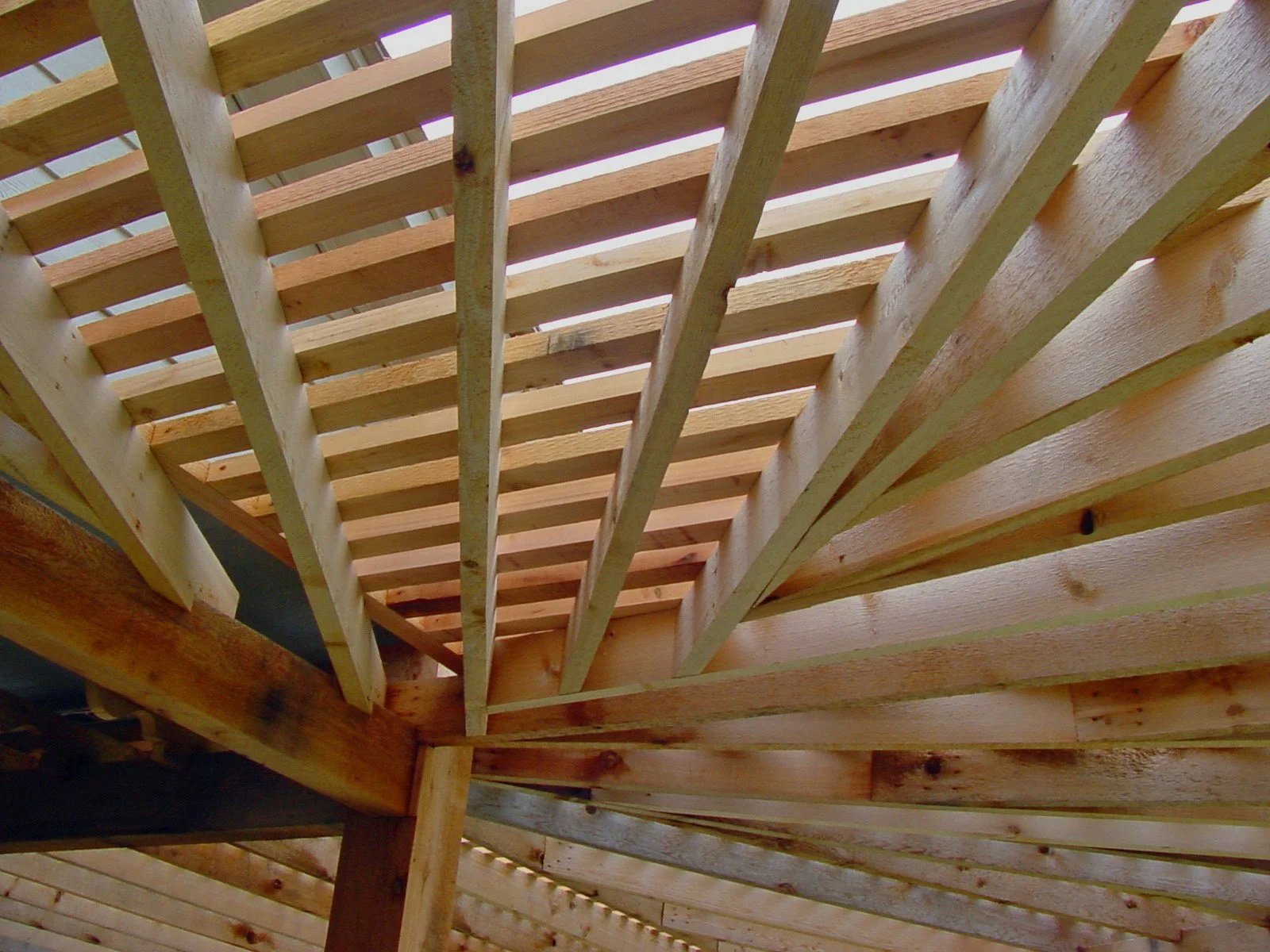 Arbor and landscape design in Tulsa with plants, pathway, and garden structure