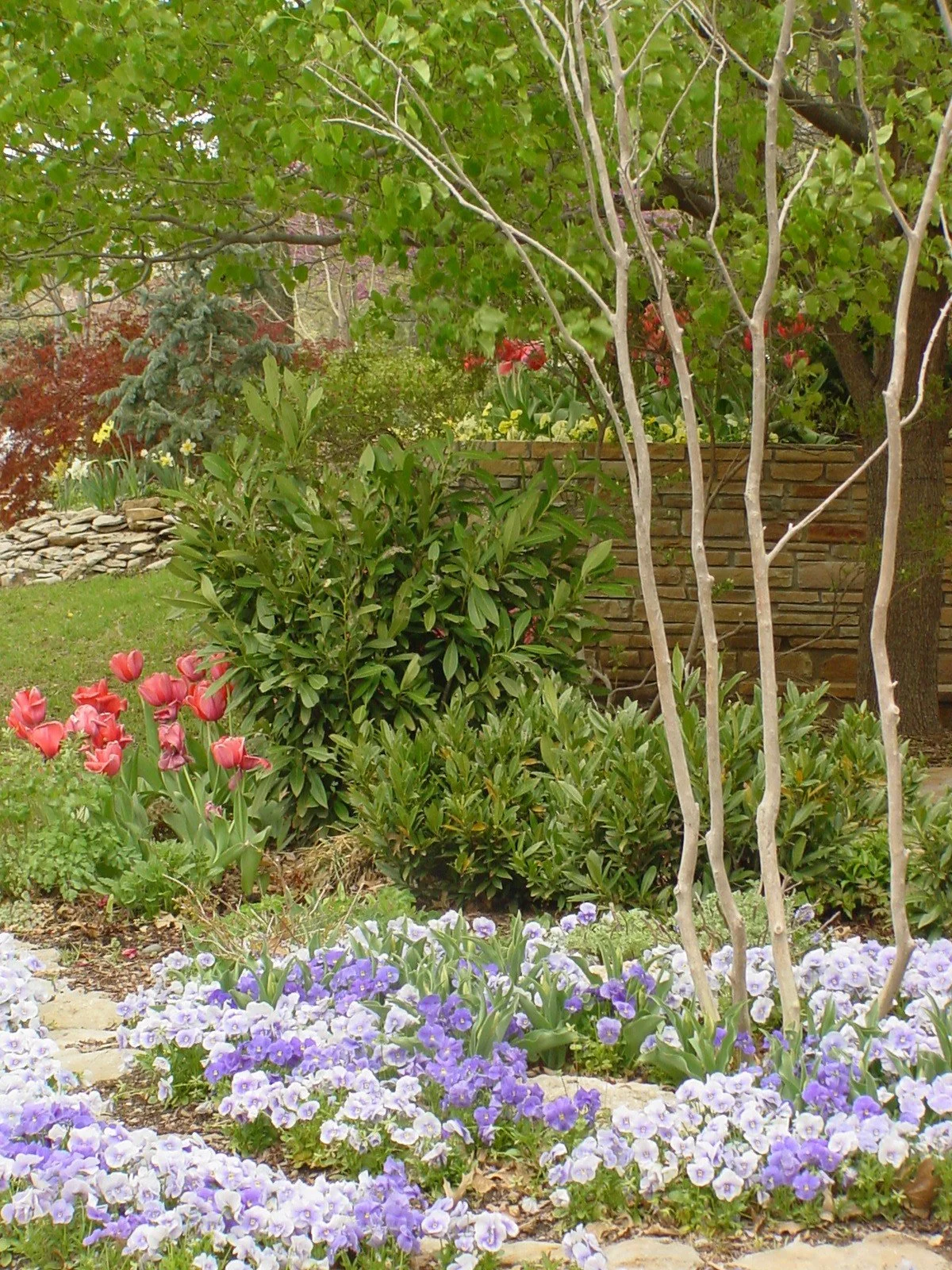 A garden with colorful flowers, green shrubs, and trees, with a brick wall in the background.