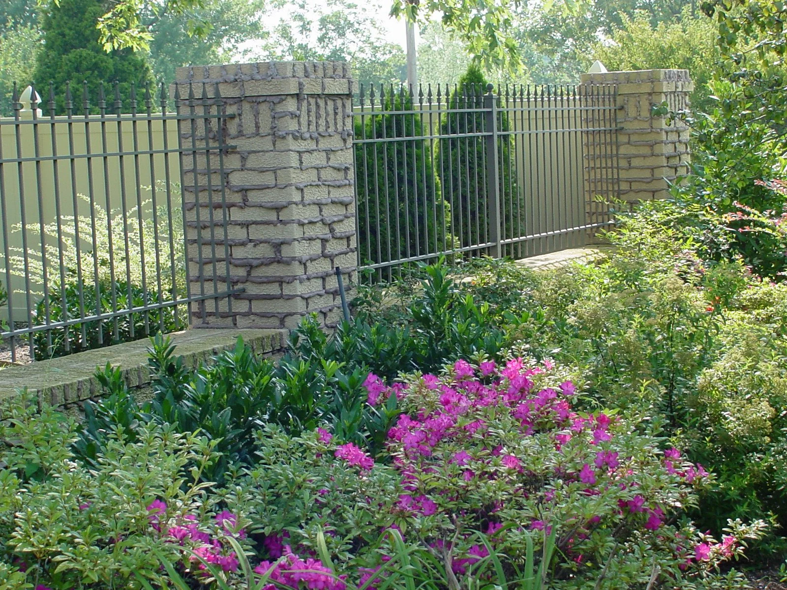 A garden with a metal fence and brick pillars, surrounded by green bushes and vibrant pink flowers.