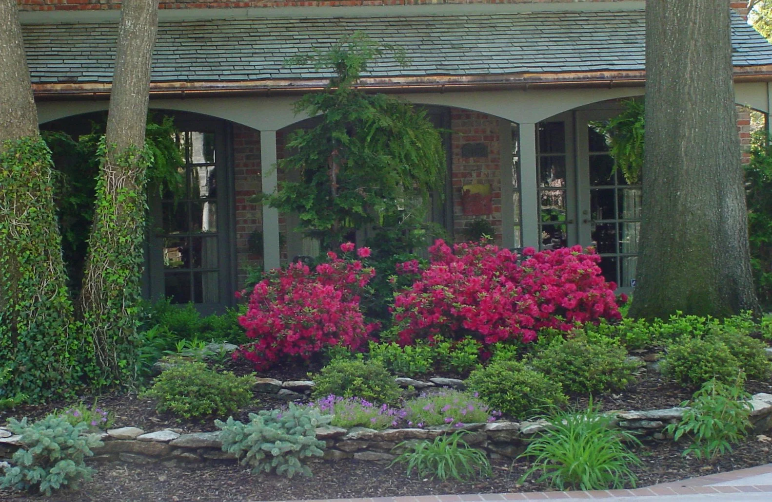 Front yard landscape design in Tulsa with trees, shrubs, and clean layout