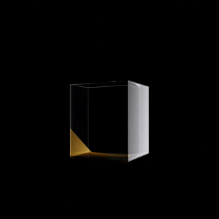 Young ADC PrintGold Cube