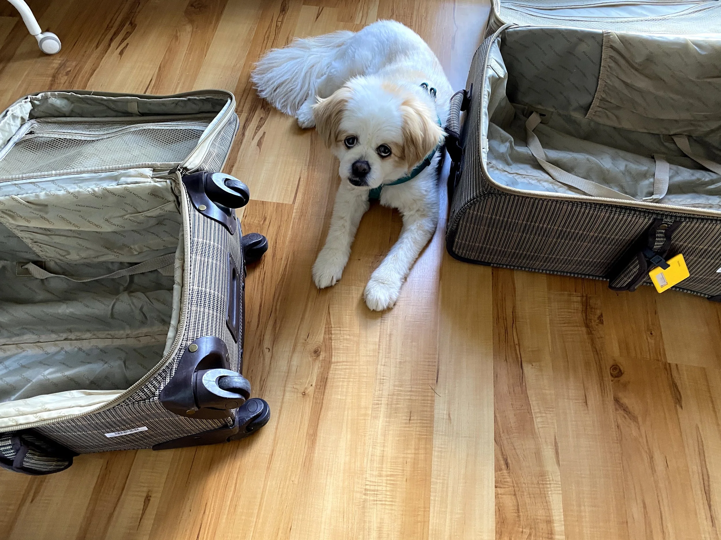 The Packing List Method: How Travel Taught Me to Edit Copy