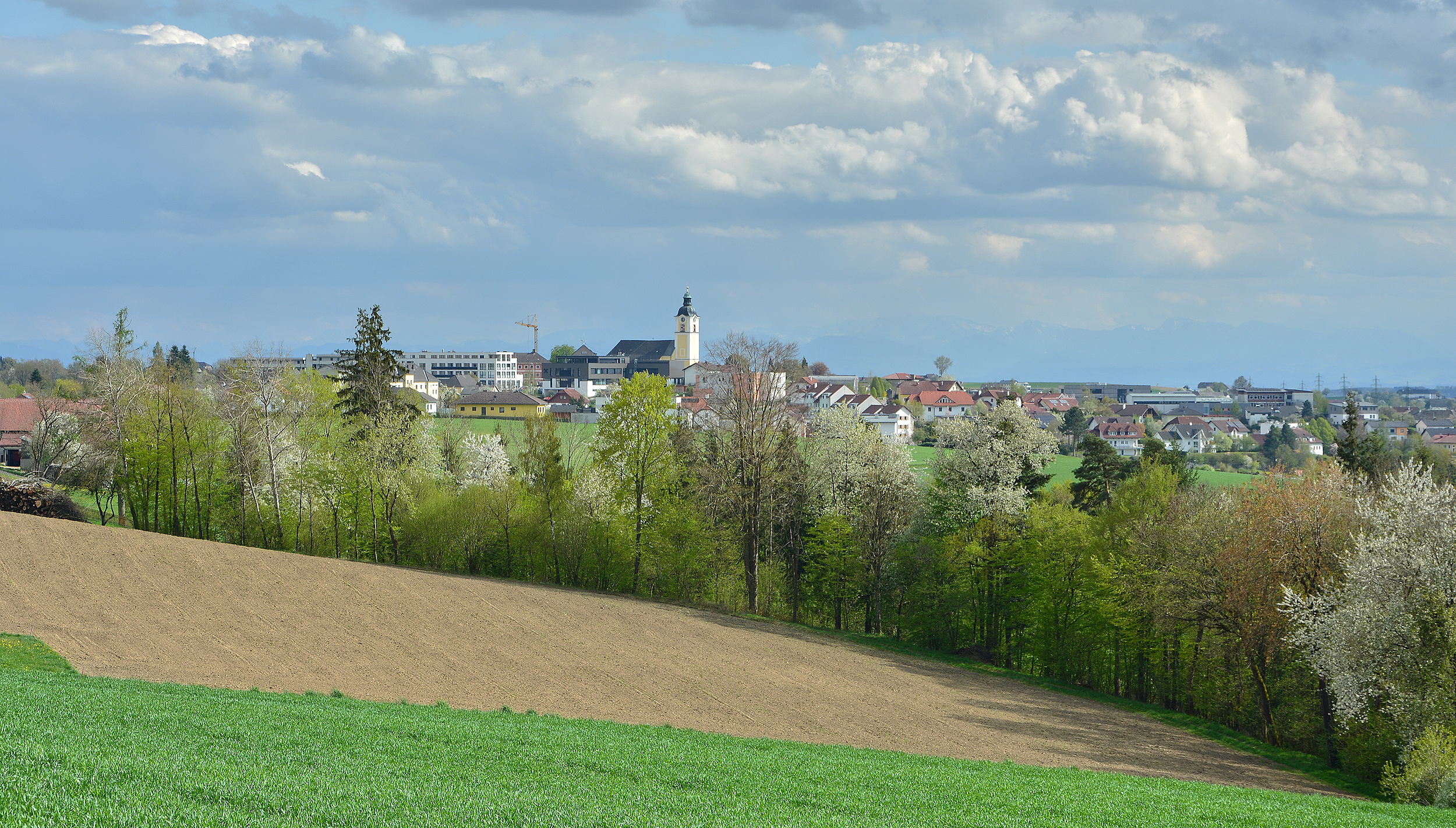 Panoramablick auf St. Martin im Mühlkreis mit Ortschaft und Hügellandschaft