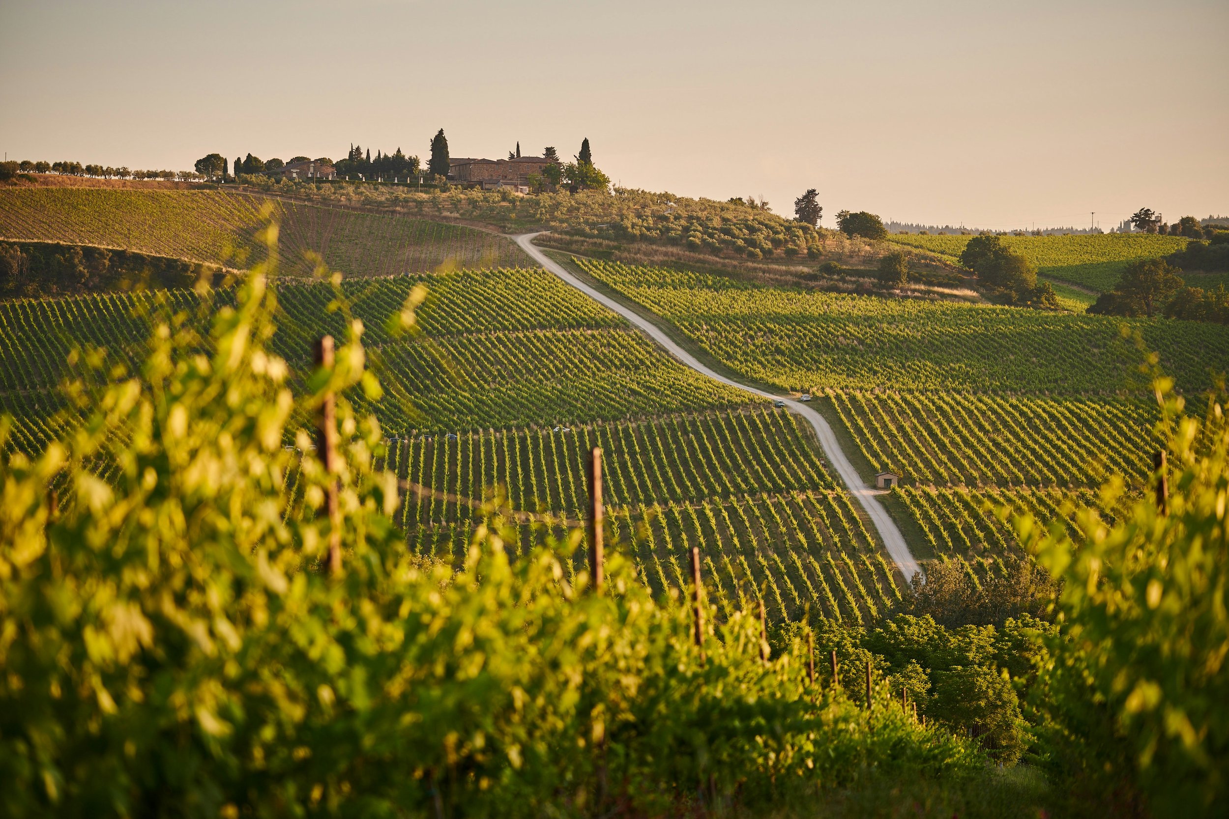 SÜDSTEIERMARK - Wandern, Wein &amp; Genuss mit der Familie