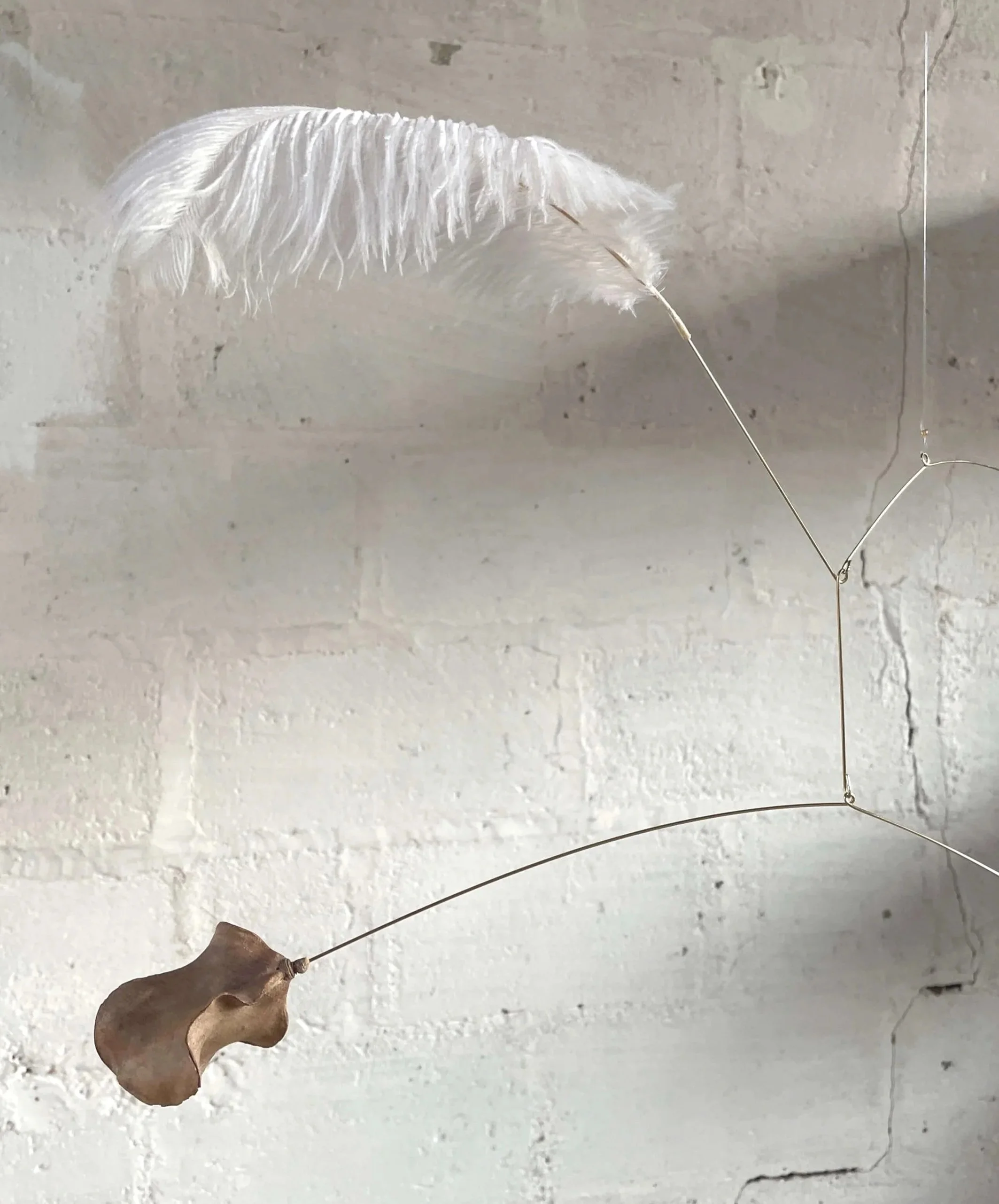 Une branche d'arbre avec une feuille sèche pendante devant un mur en pierre blanc.