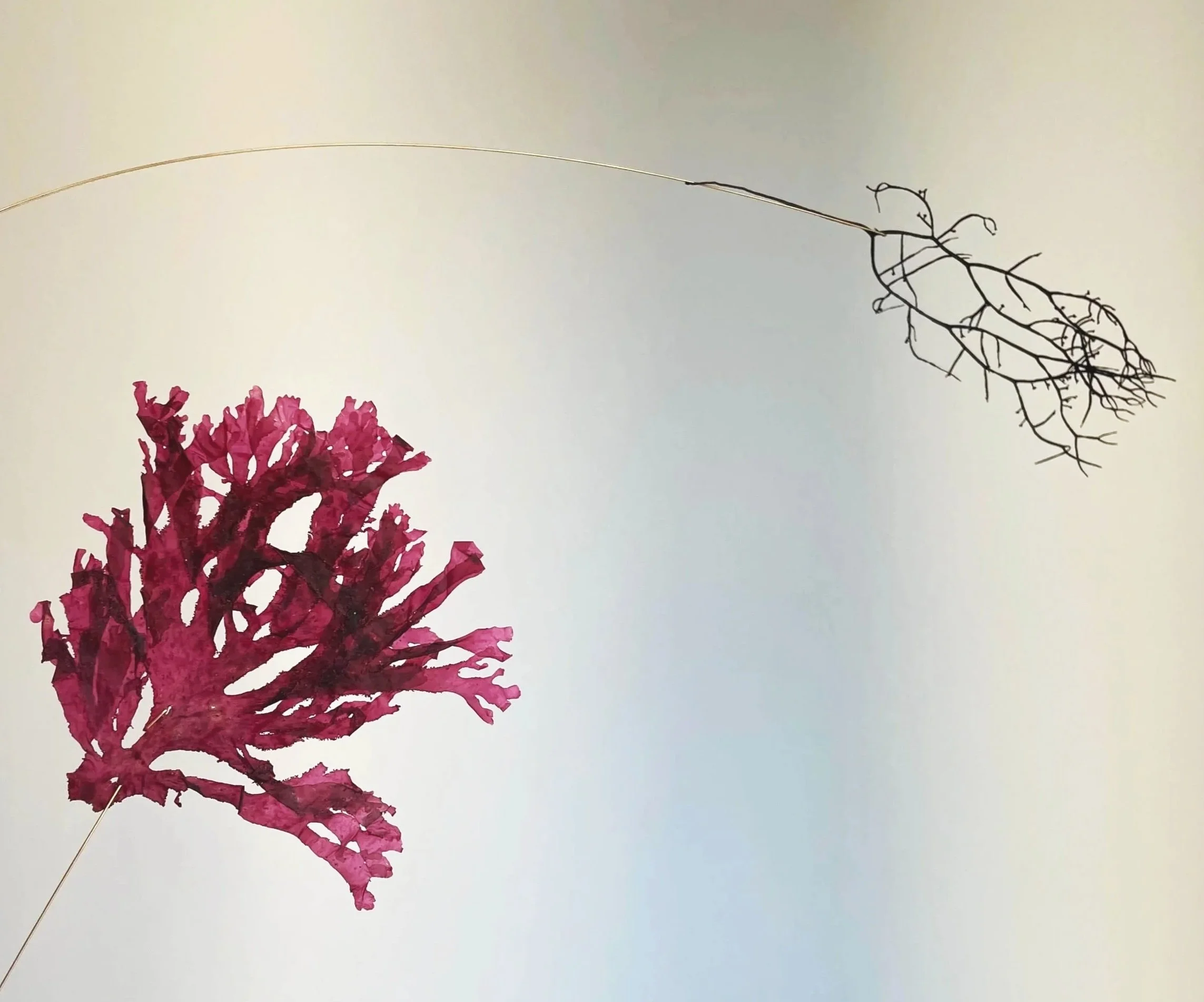 Une composition artistique représentant un arbre en fil de fer avec ses branches et ses racines, associé à une photo de fleurs colorées en bas à gauche.