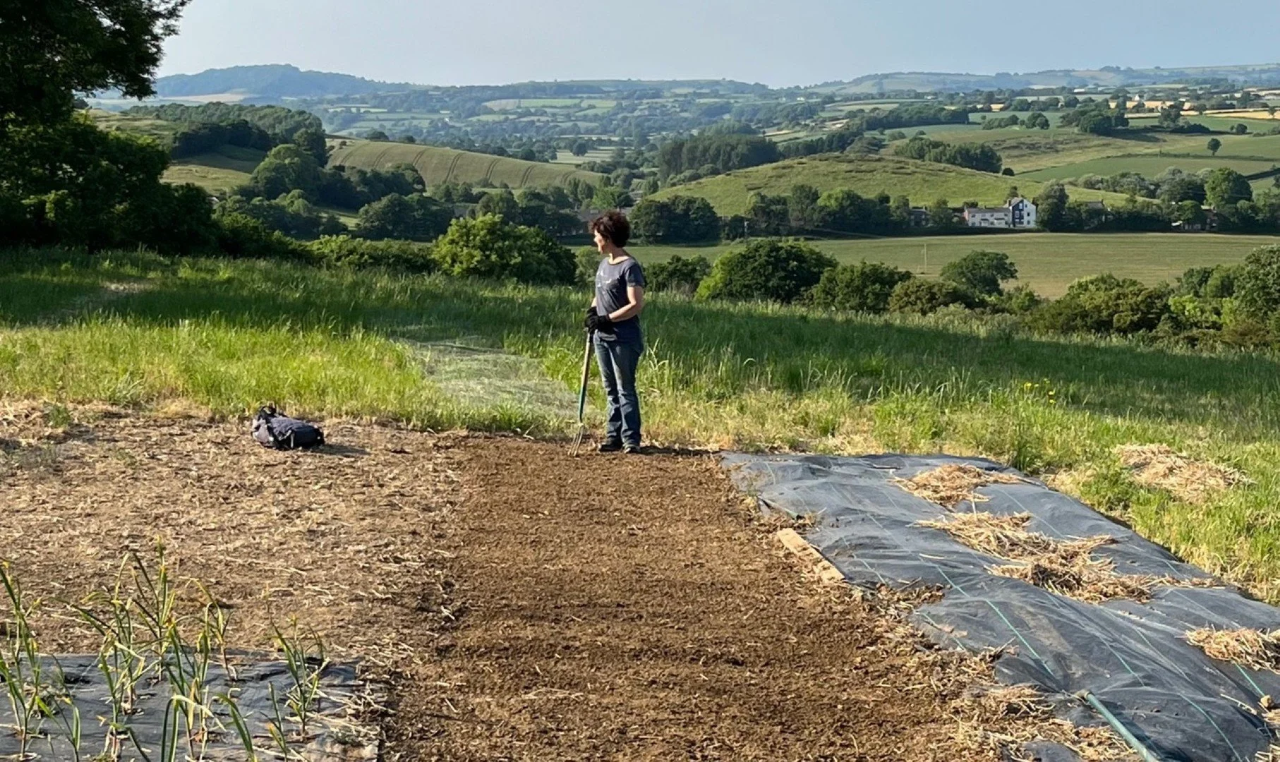 Preparing for garlic