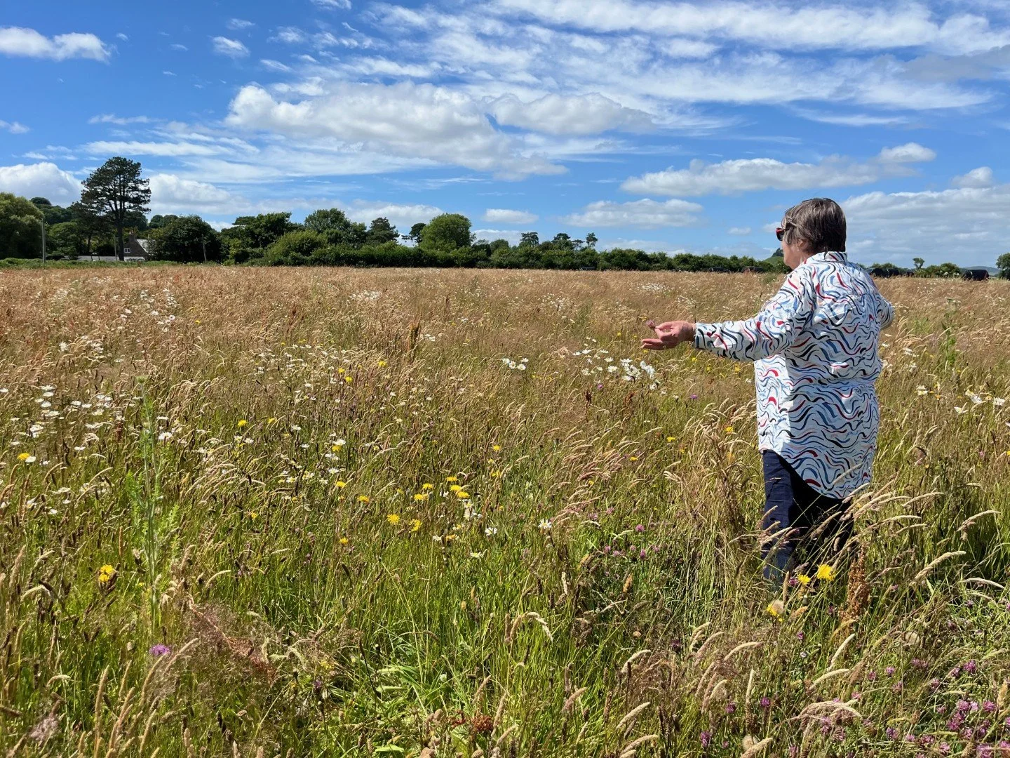 Jill in the wildflowers