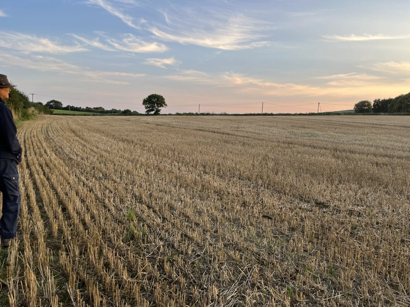 Pre purchase, September 2022