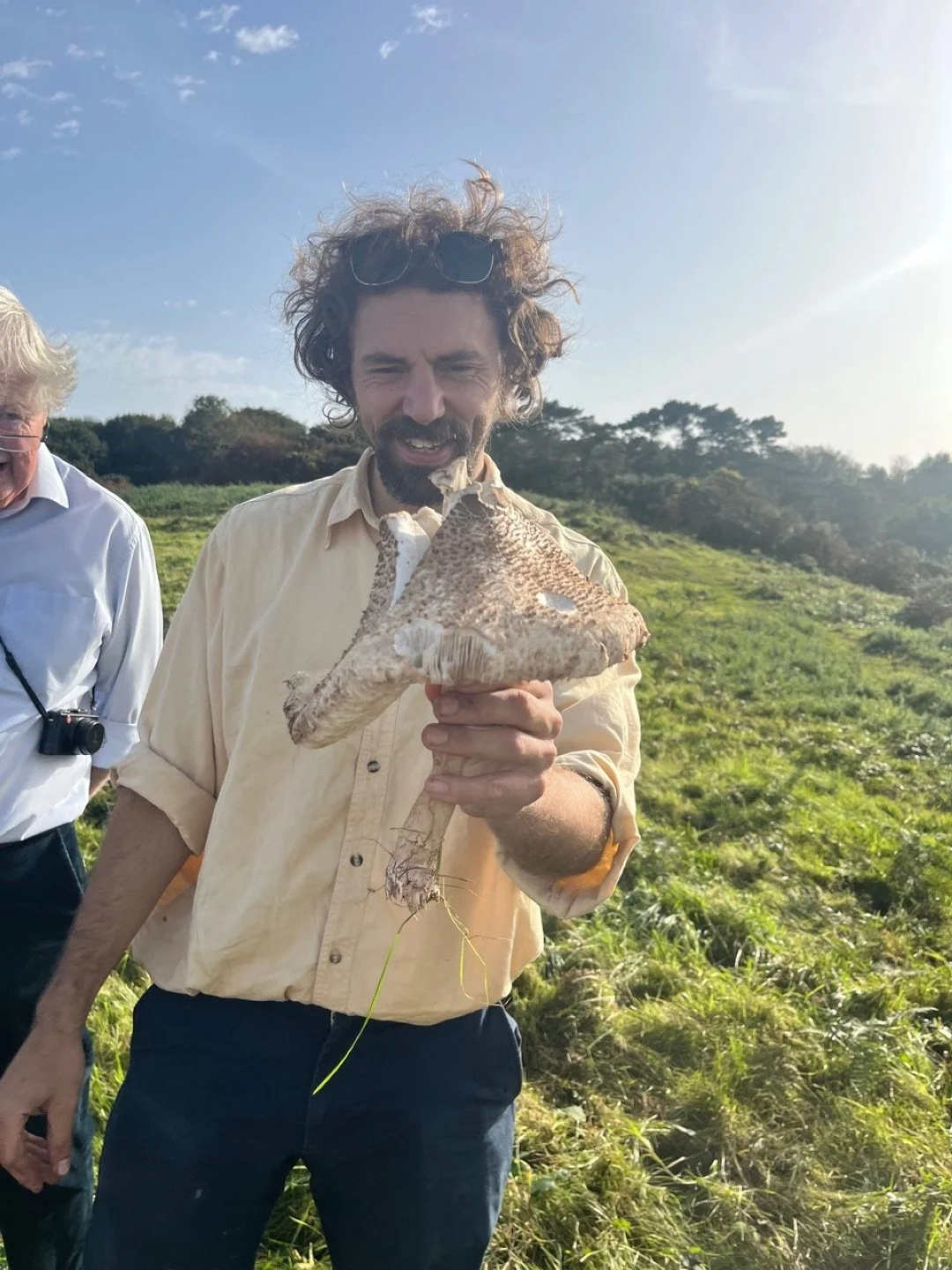 Nick Phillips & parasol mushroom