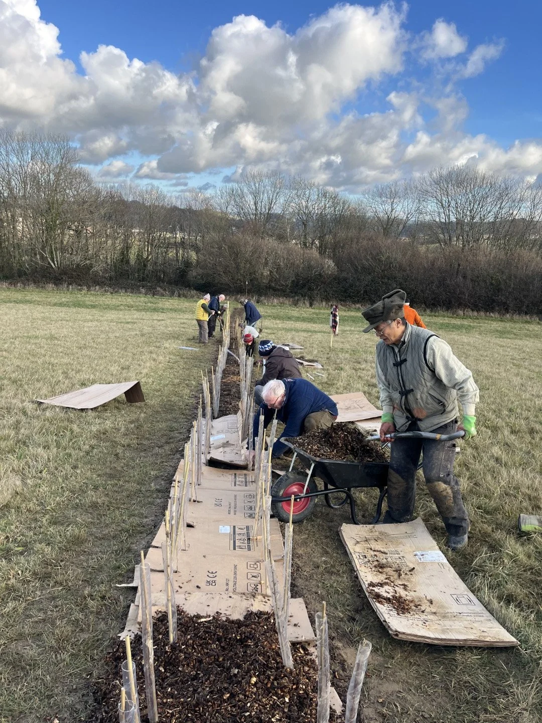 Mulching with cardboard and bark