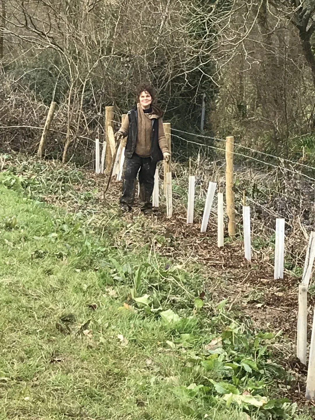 Fencing and hedge planting, March 2024
