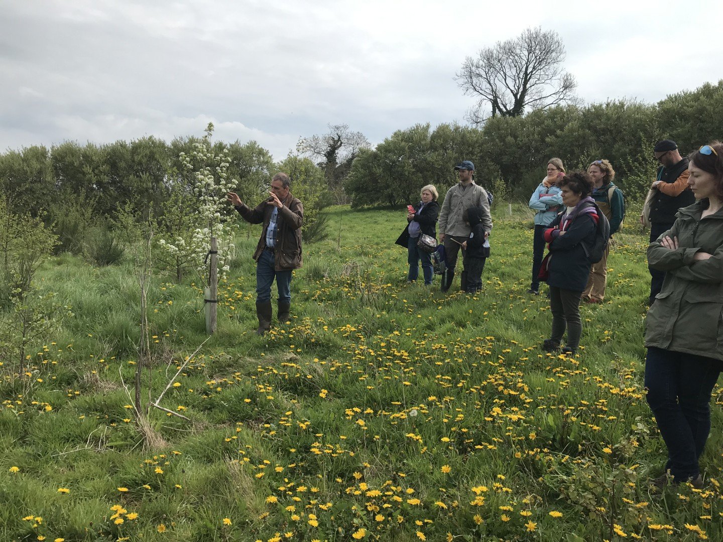 Inspiration from Martin Crawford