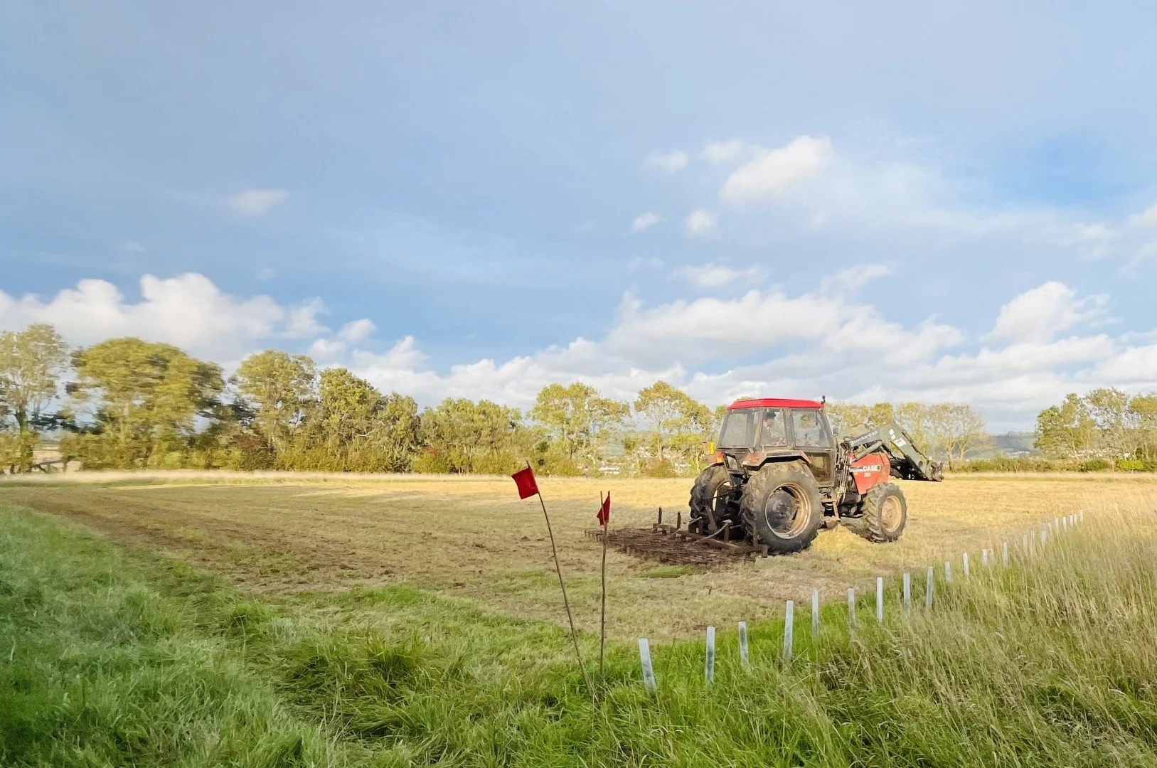 Preparing more wildflower areas 