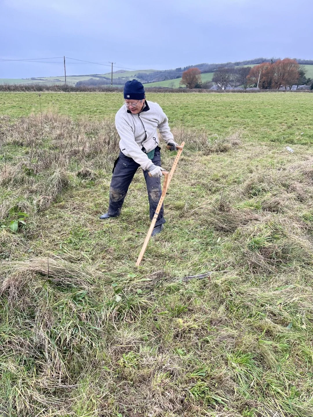 Scything meadow grasses, Jan 2025