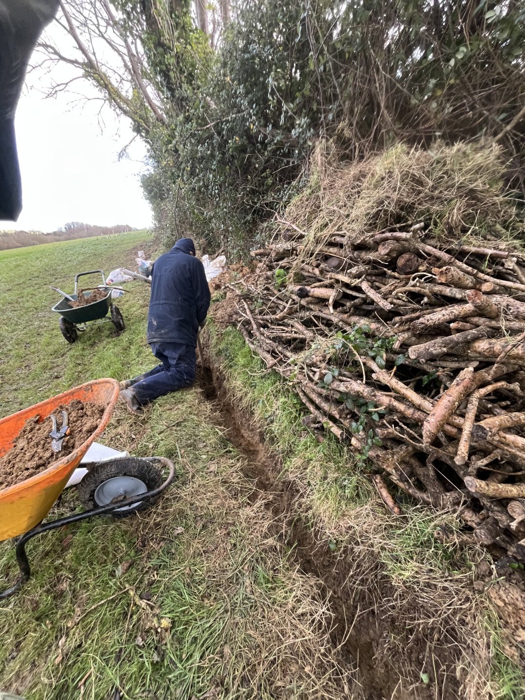 Small mammal brushwood habitat