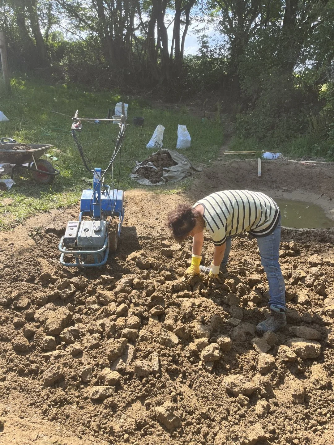 Puddled clay & bentonite