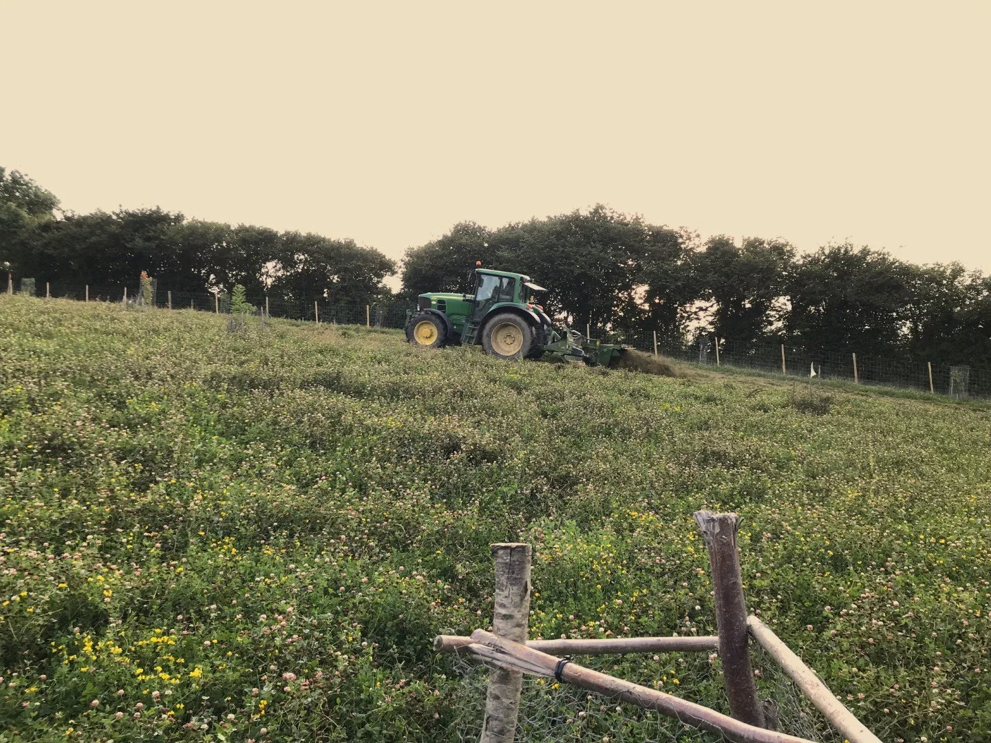 Making silage from clover