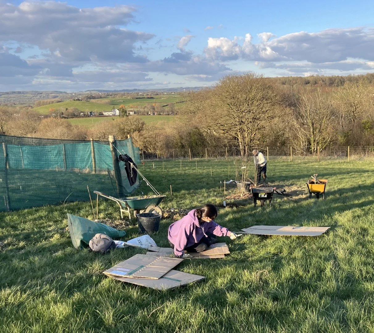 Planting shelter belt