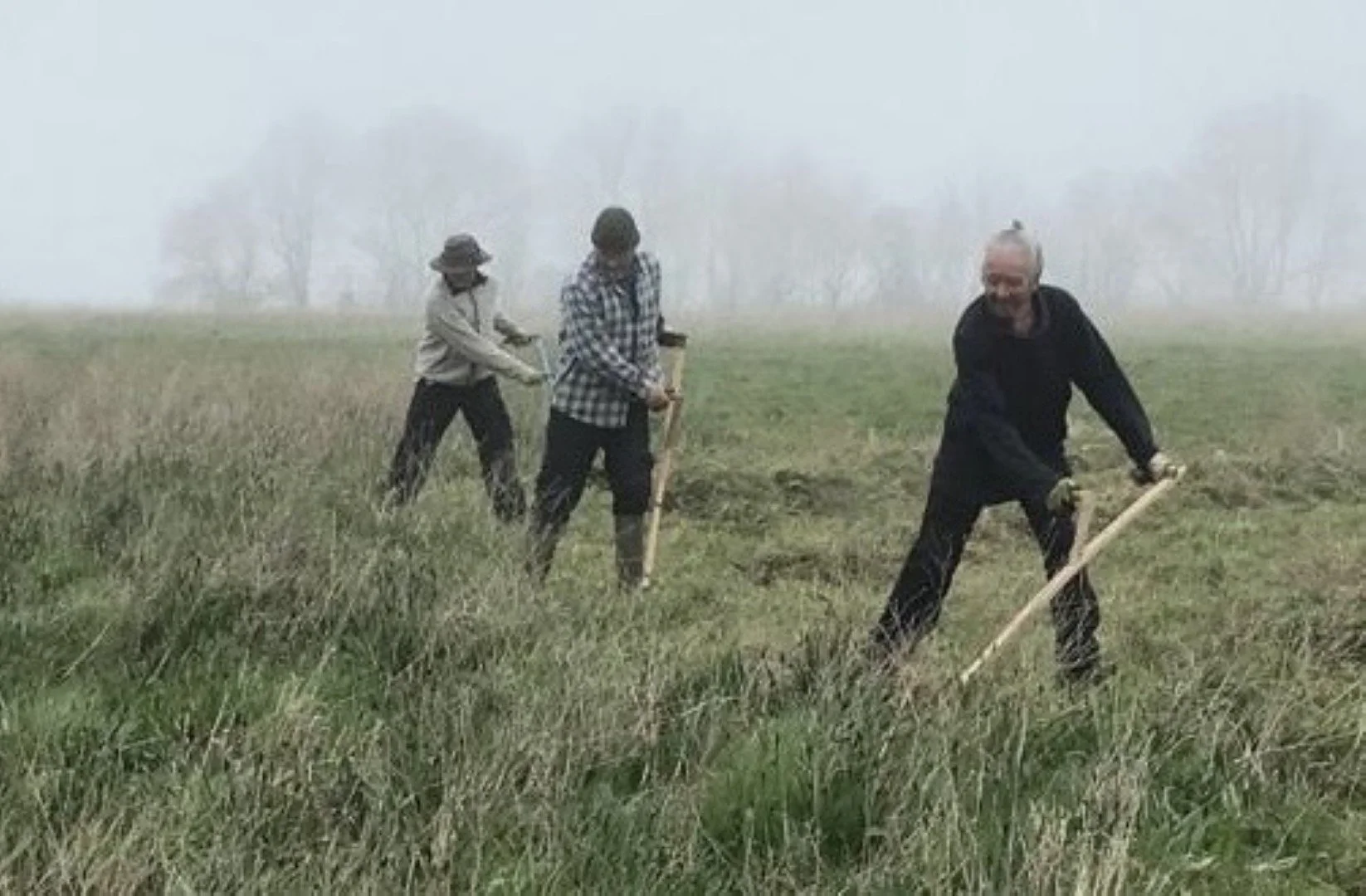 Scything team