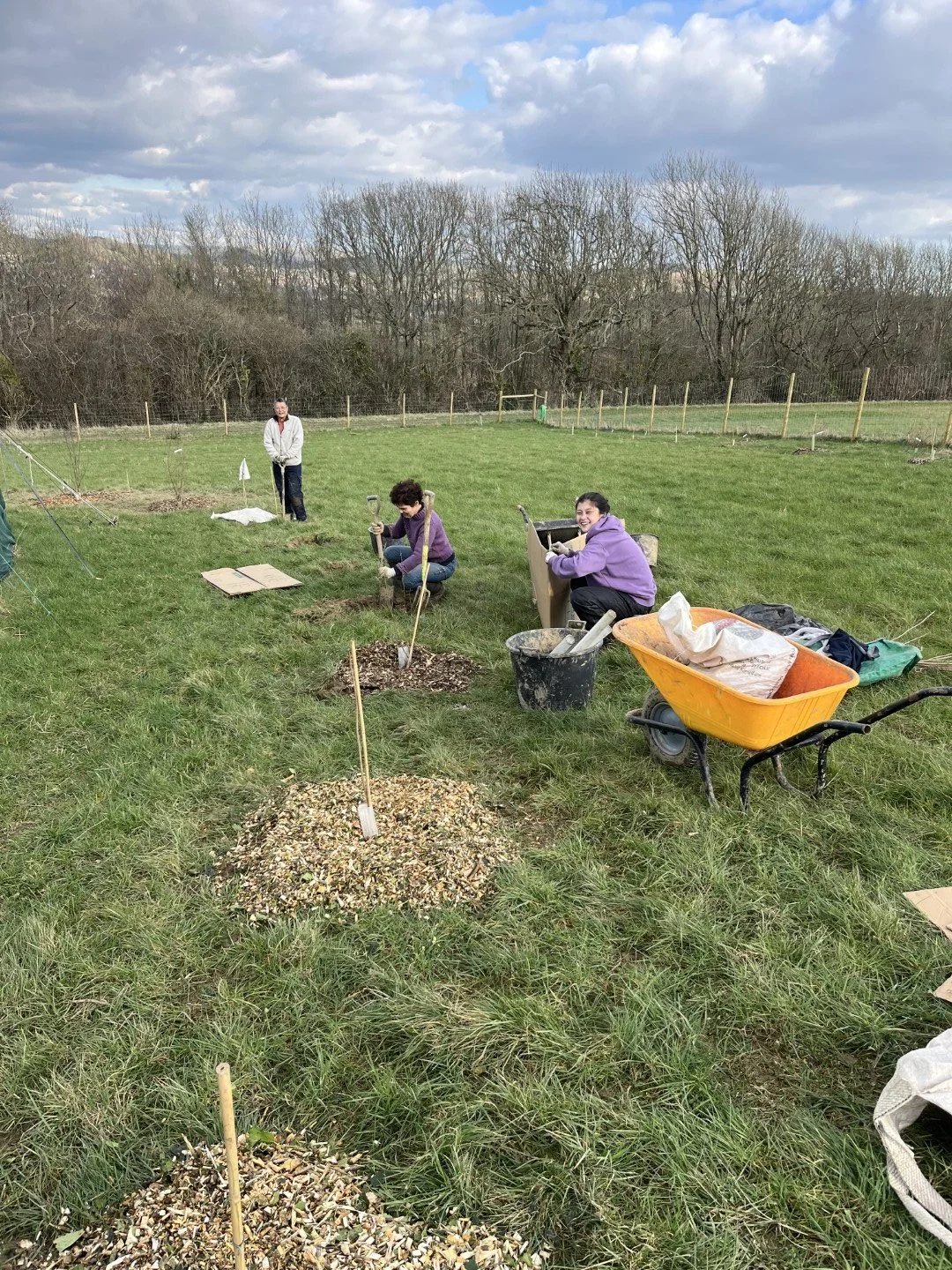 Planting windbreak, February 2025