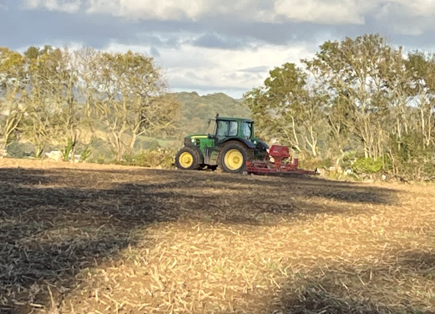 Drilling cornfield annuals