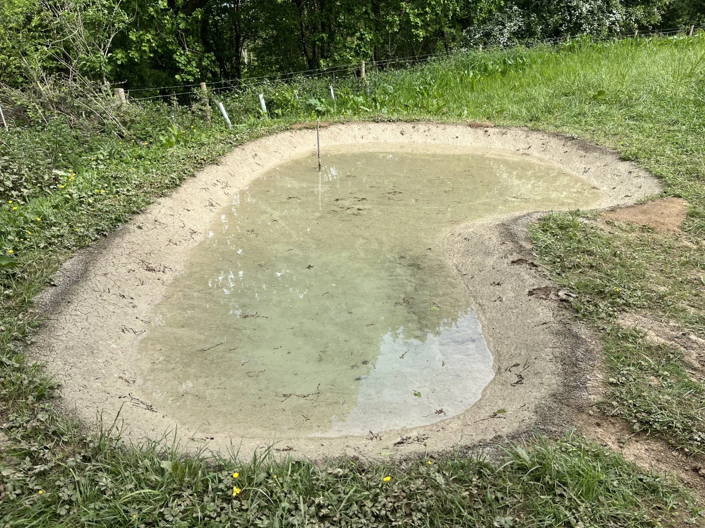Puddled clay pond