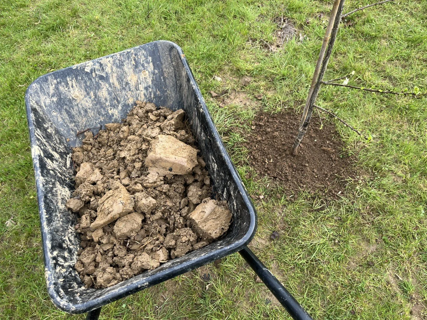 Compacted soil, Spring 2023