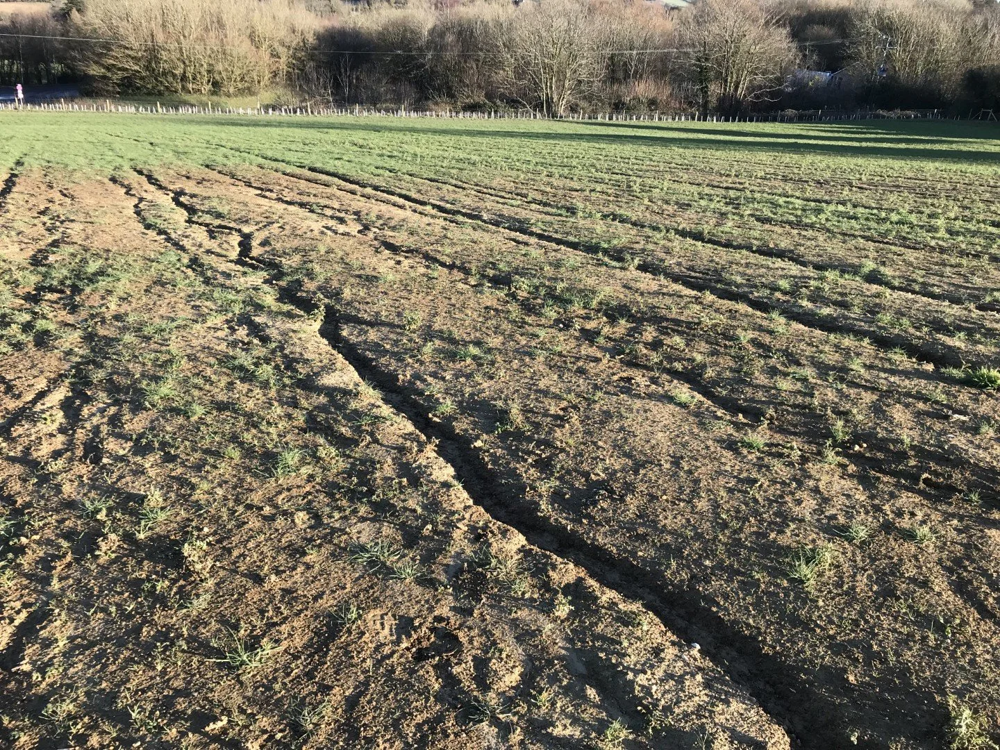 Erosion after record rains, January 2024