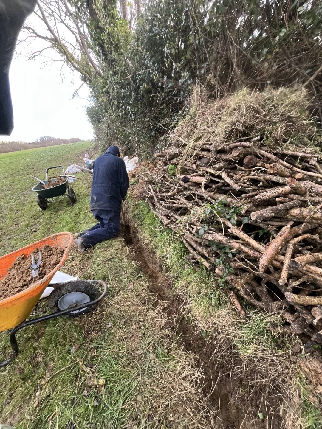 Small mammal brushwood habitat